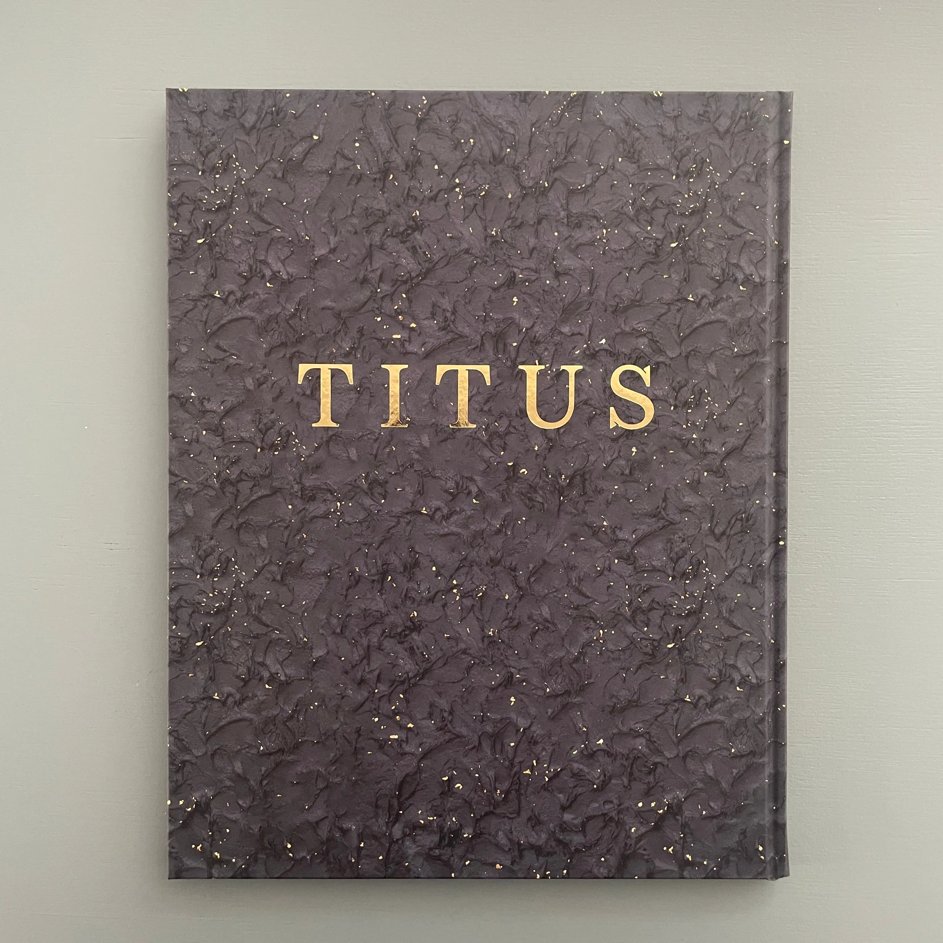 Titus Kaphar - Language of the forgotten - Self-published 2019 - Image 14