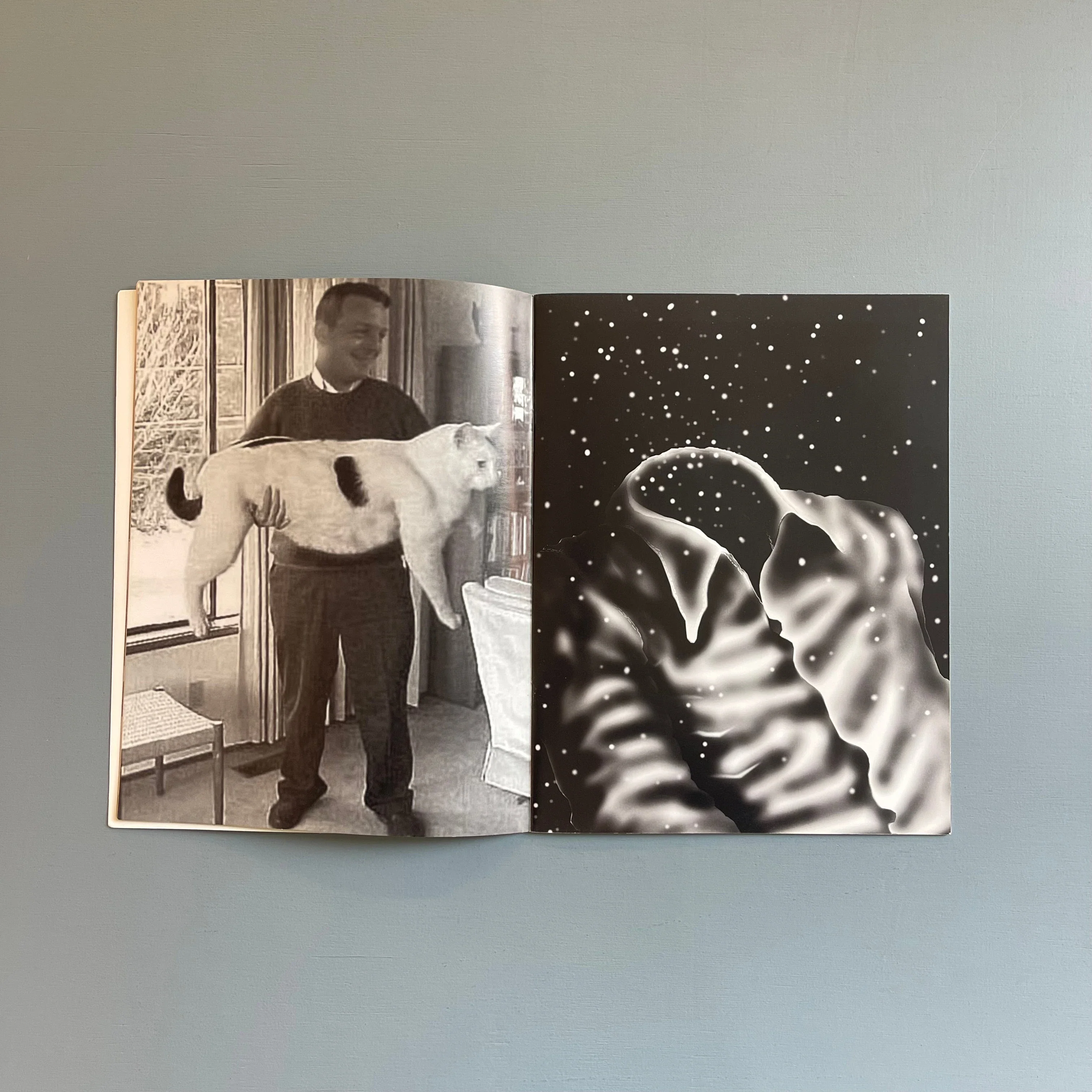 Urs Fischer - You Can Call Inside Me - The Journal 2010 - Image 5