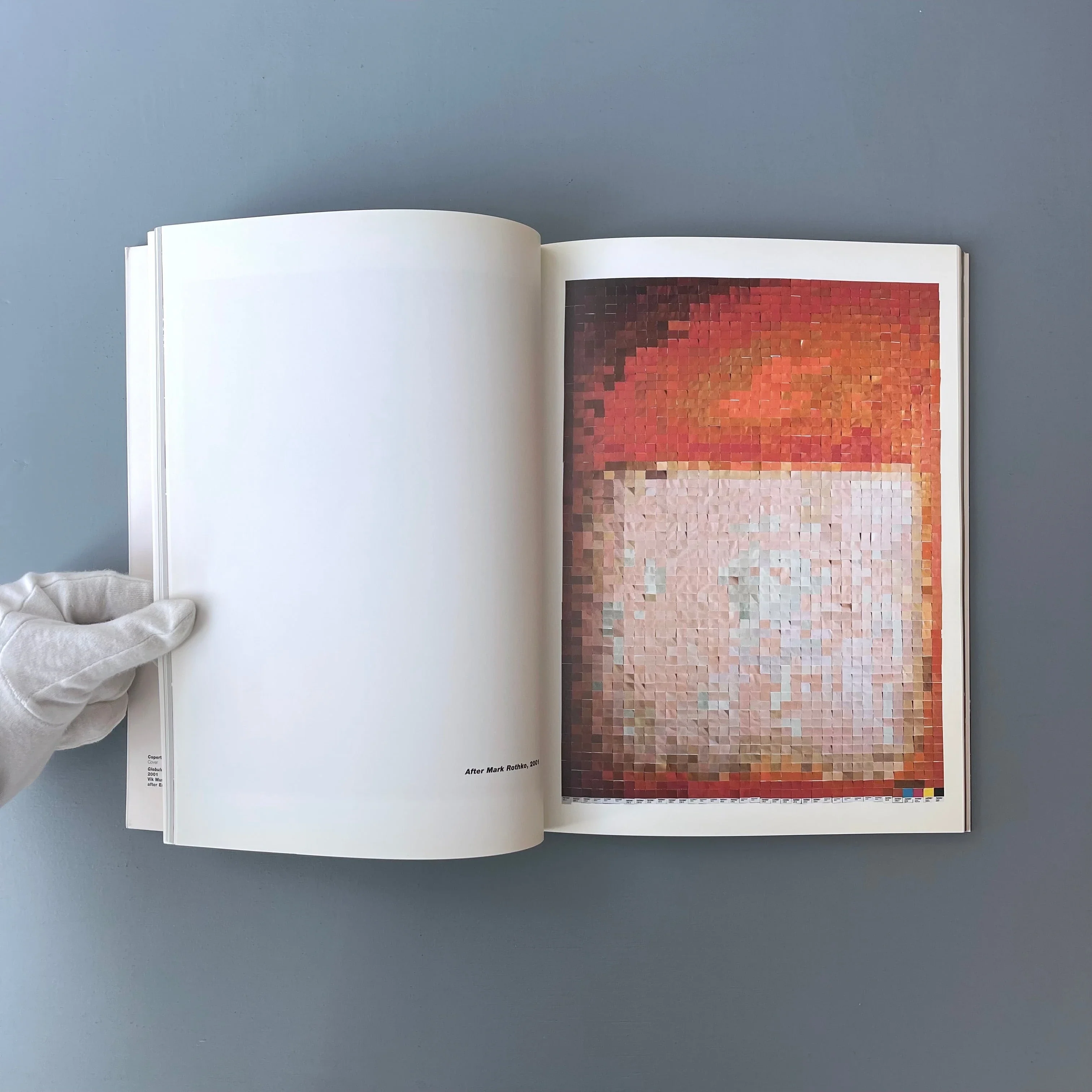Vik Muniz / Ernesto Neto - XLIX Biennale di Venezia 2001 - Image 3
