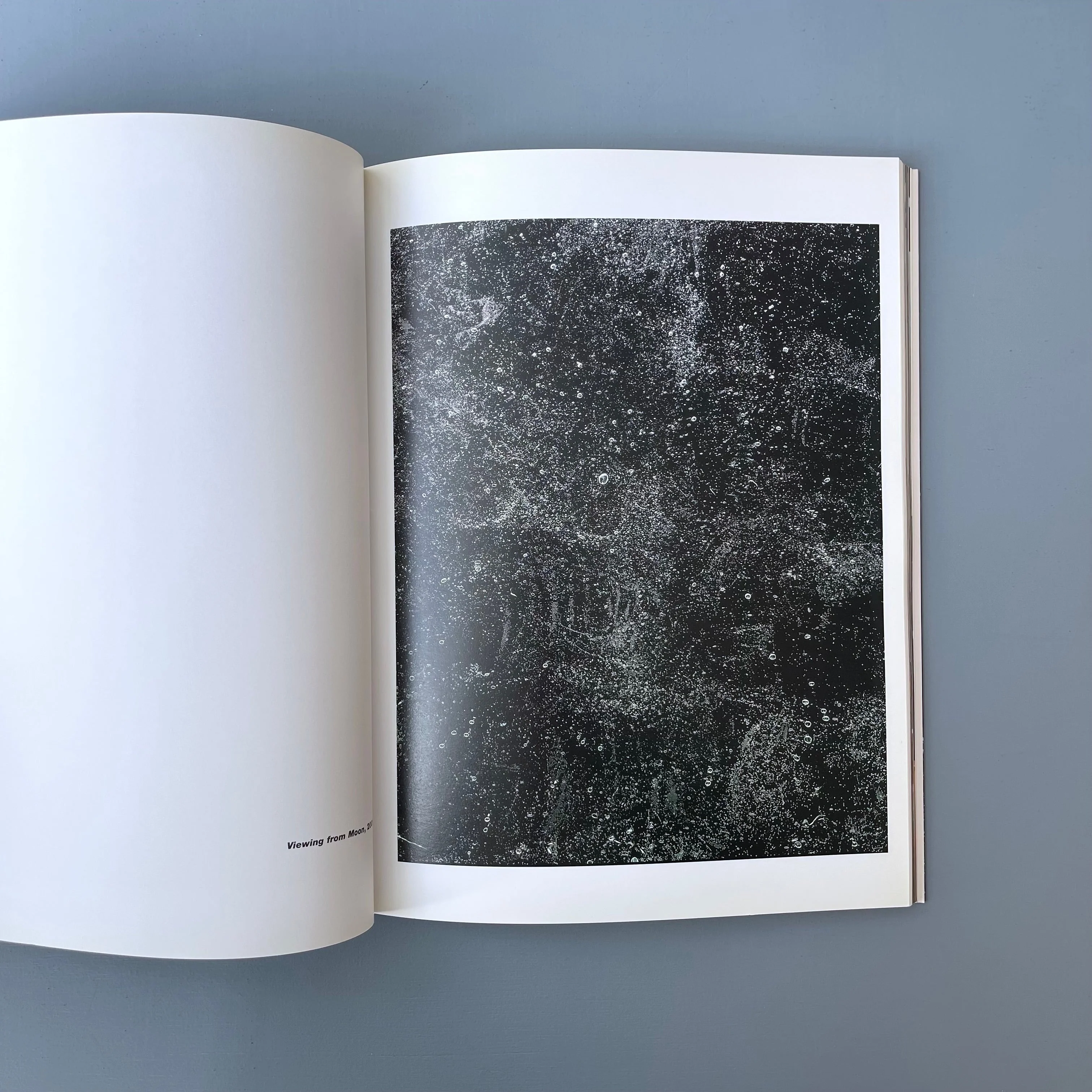 Vik Muniz / Ernesto Neto - XLIX Biennale di Venezia 2001 - Image 6