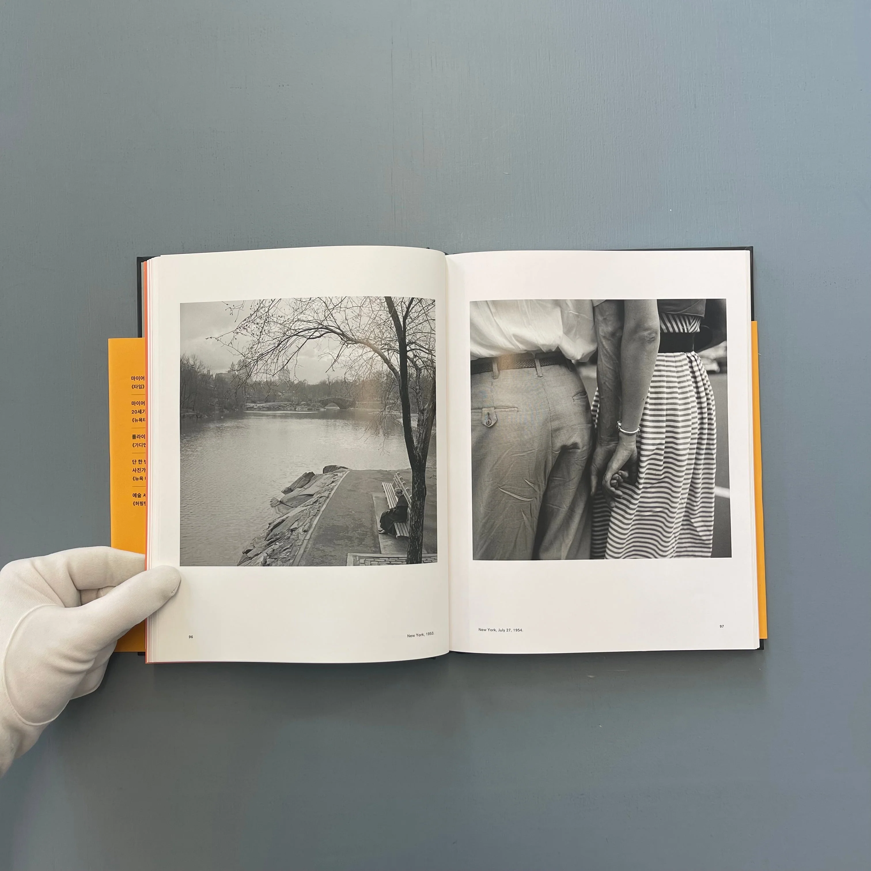 Vivian Maier - A photographer found - Will Books 2015 - Image 11