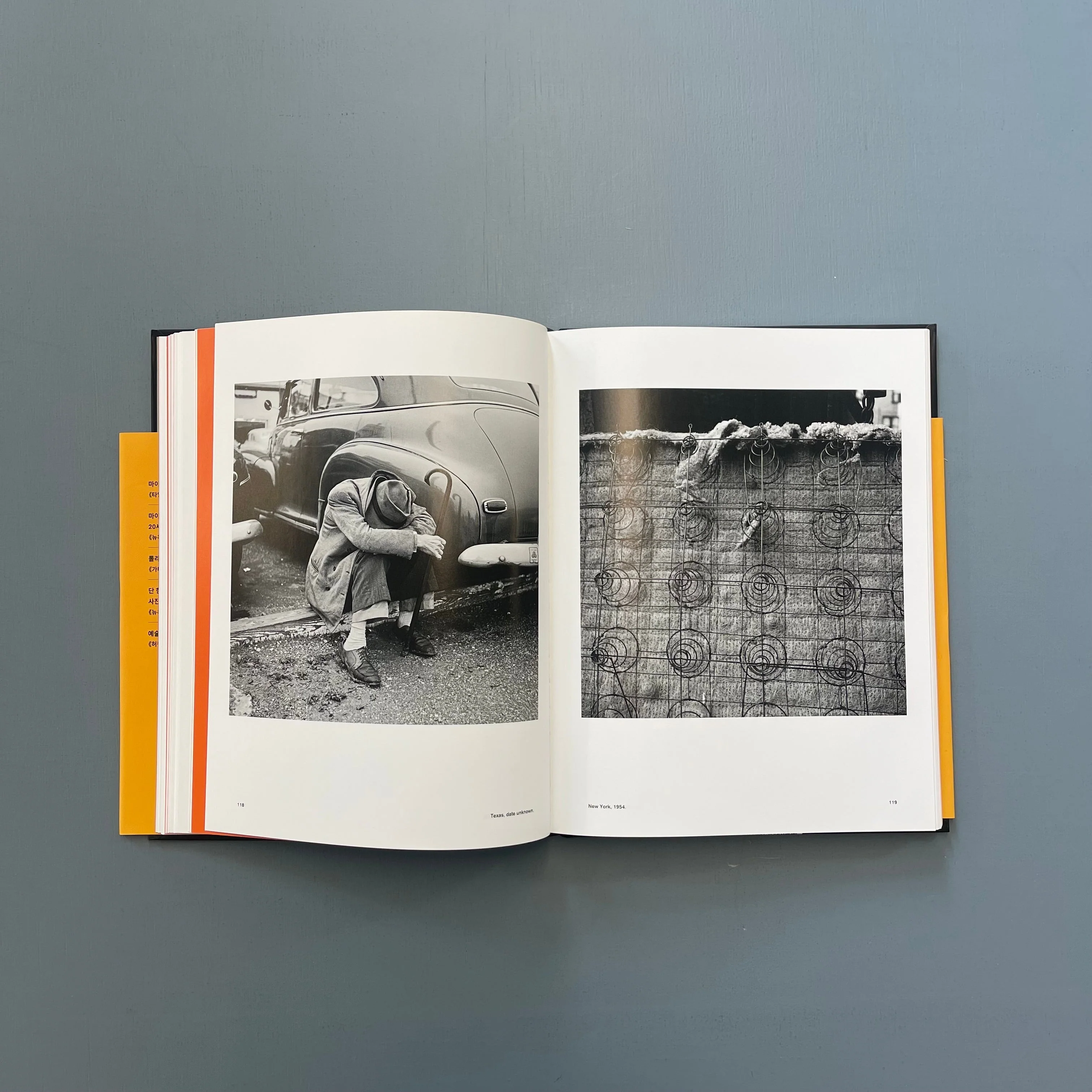 Vivian Maier - A photographer found - Will Books 2015 - Image 12