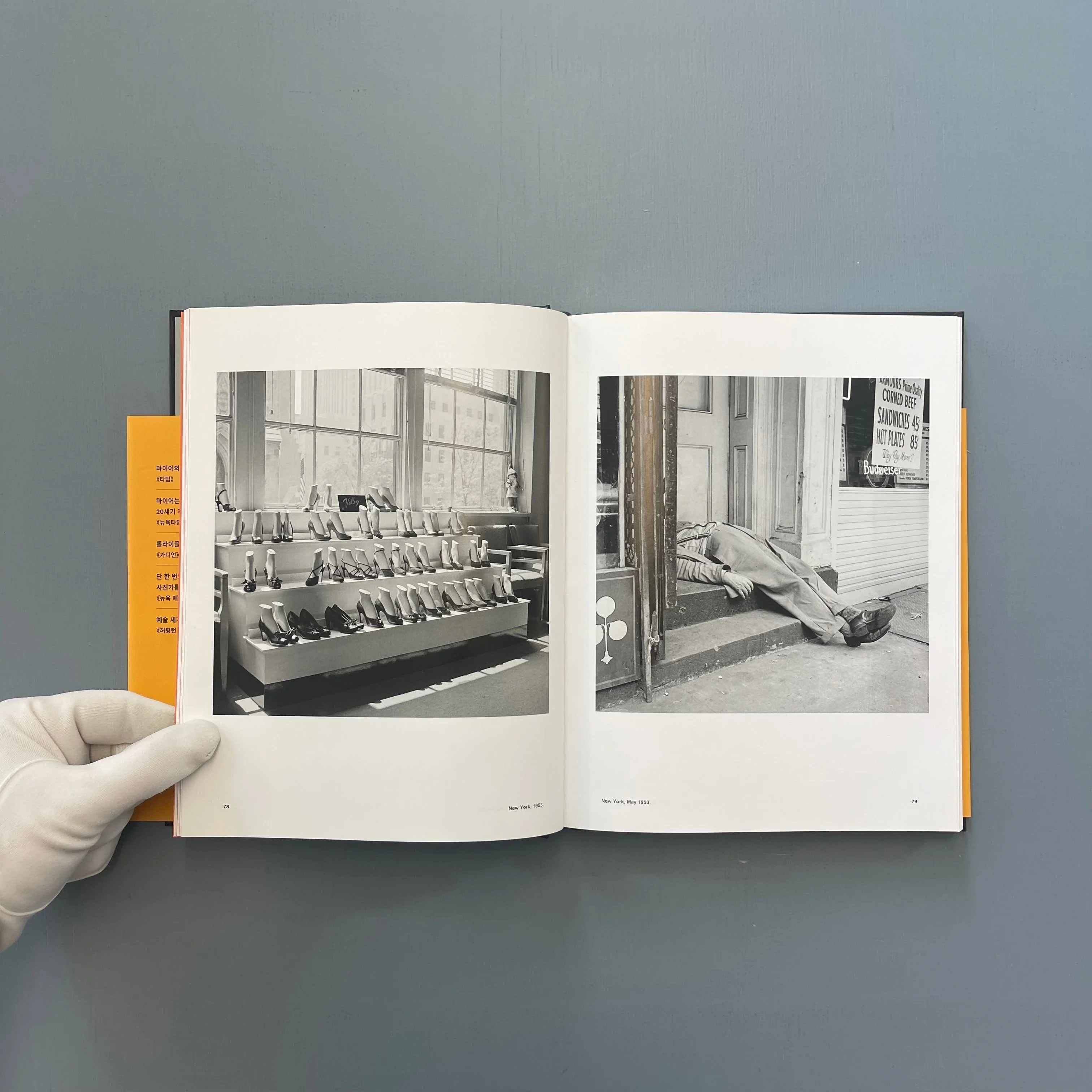 Vivian Maier - A photographer found - Will Books 2015 - Image 9