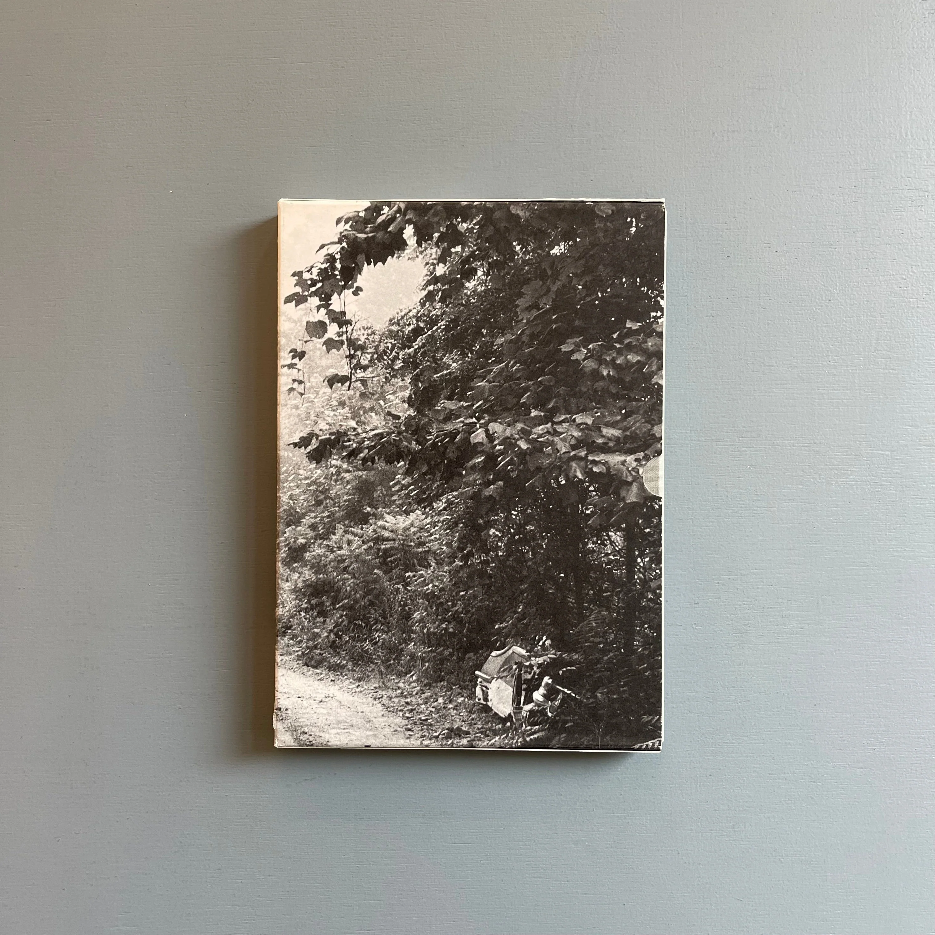 William Gedney/John Cage - Iris Garden - Little Brown Mushroom 2013