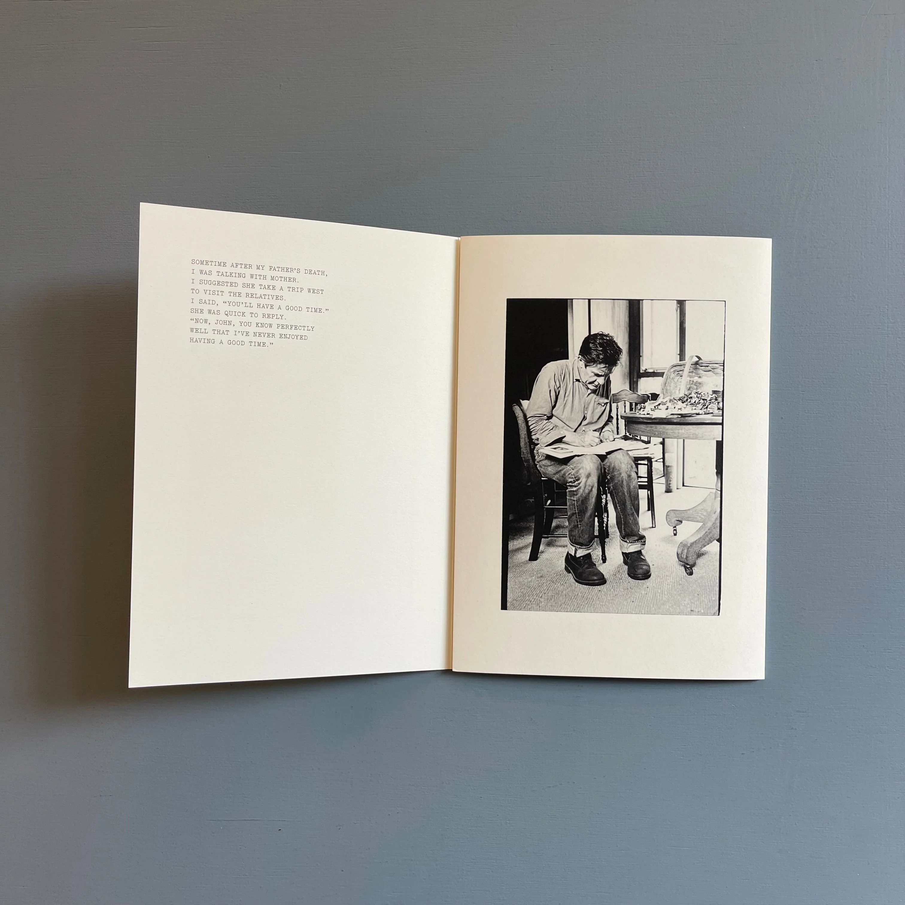 William Gedney/John Cage - Iris Garden - Little Brown Mushroom 2013 - Image 10