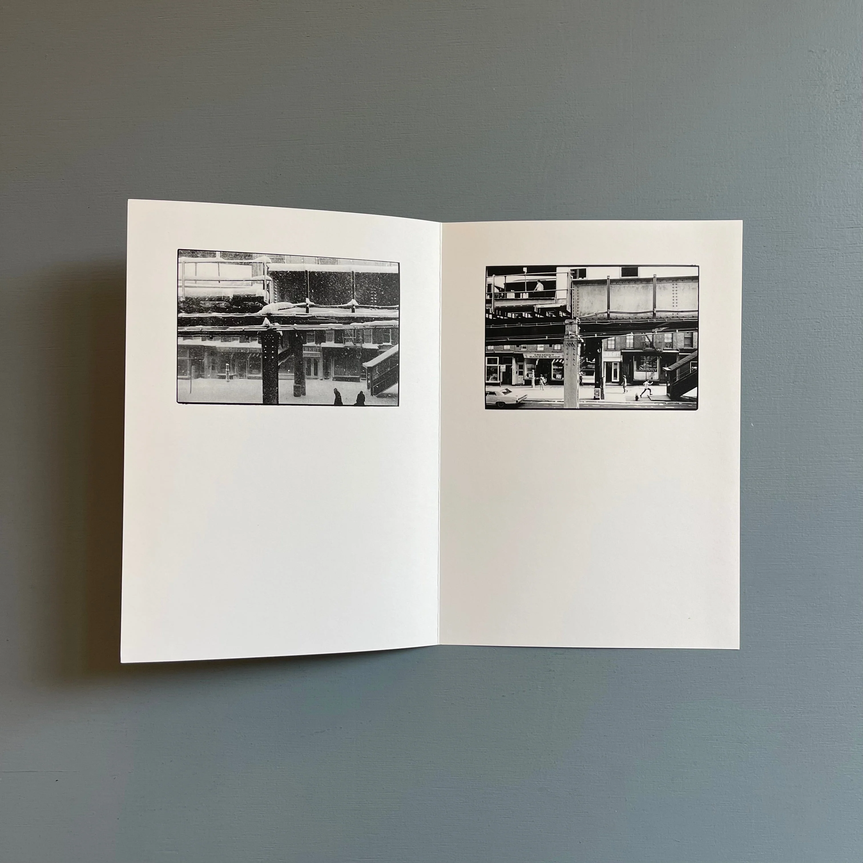 William Gedney/John Cage - Iris Garden - Little Brown Mushroom 2013 - Image 11