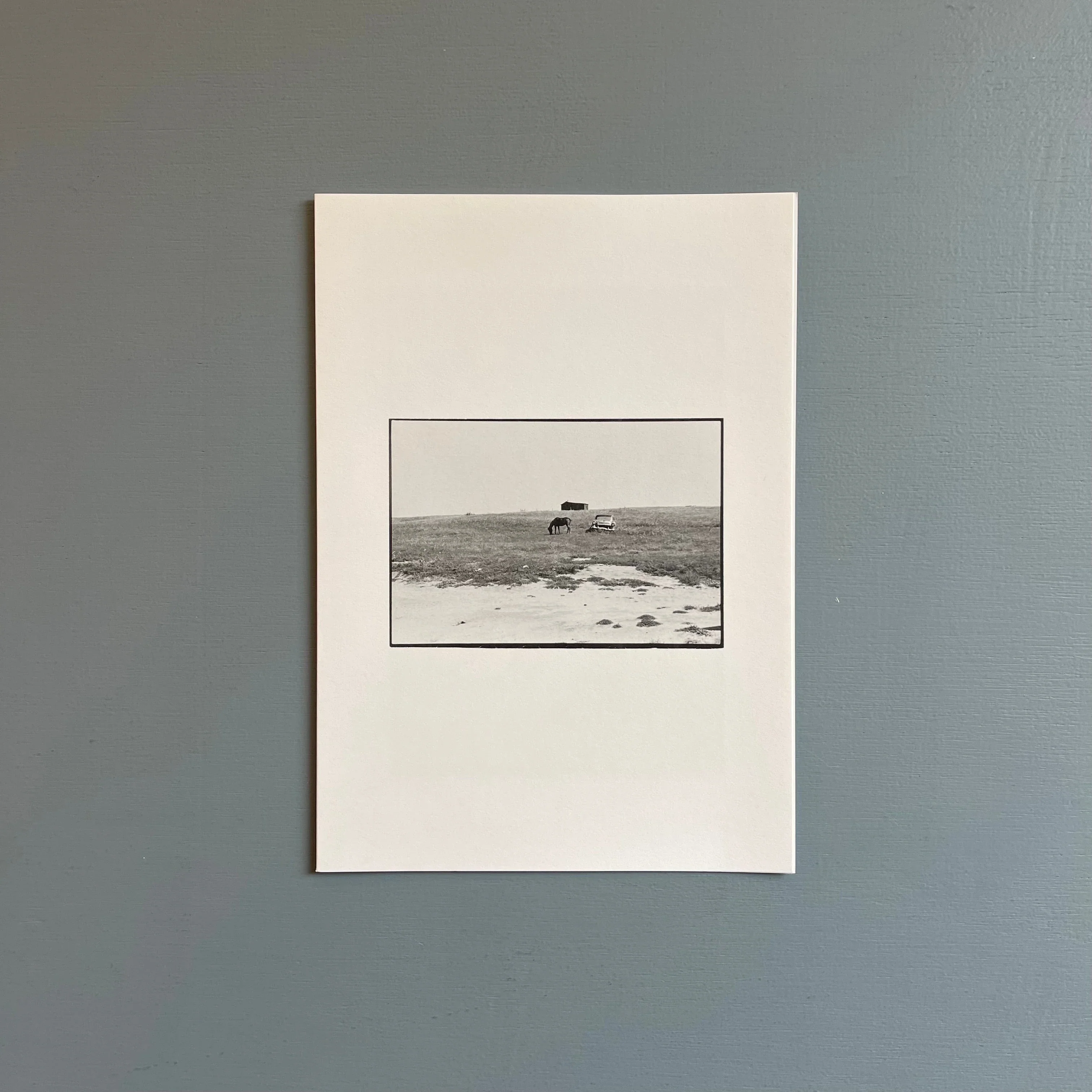William Gedney/John Cage - Iris Garden - Little Brown Mushroom 2013 - Image 12