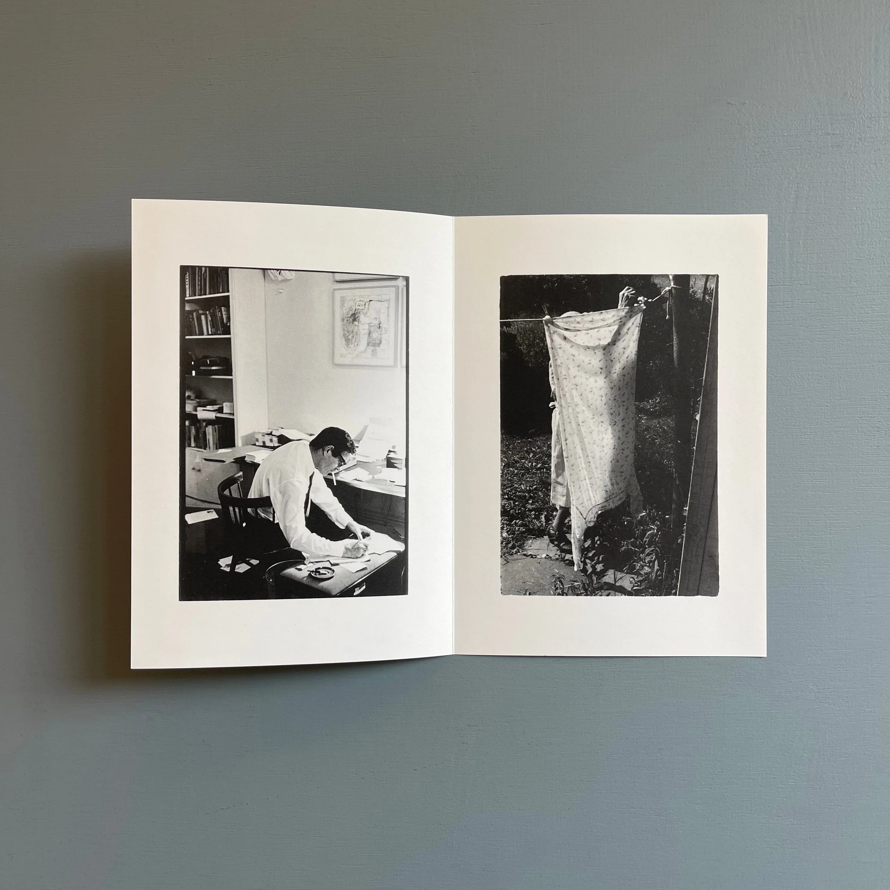 William Gedney/John Cage - Iris Garden - Little Brown Mushroom 2013 - Image 13