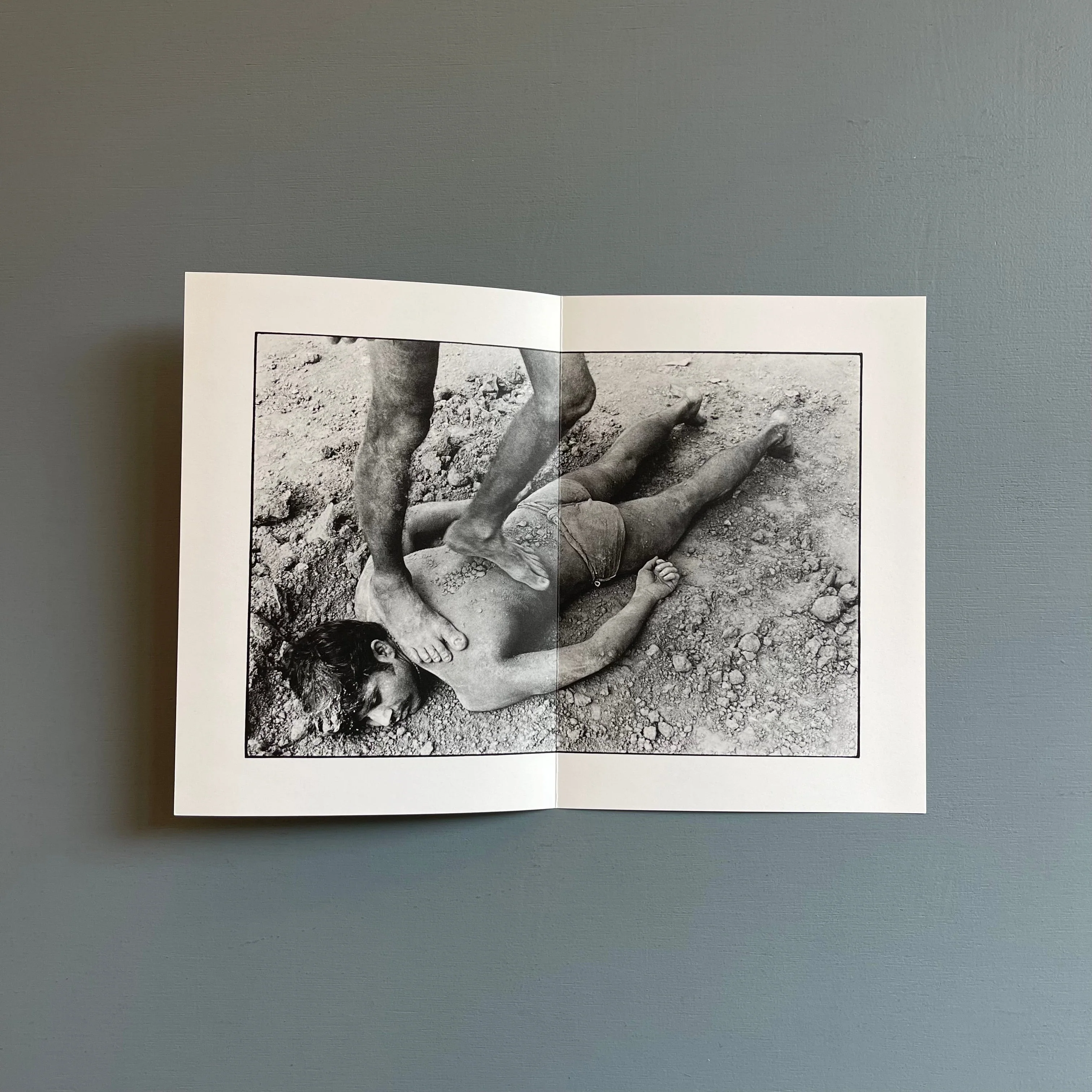 William Gedney/John Cage - Iris Garden - Little Brown Mushroom 2013 - Image 16