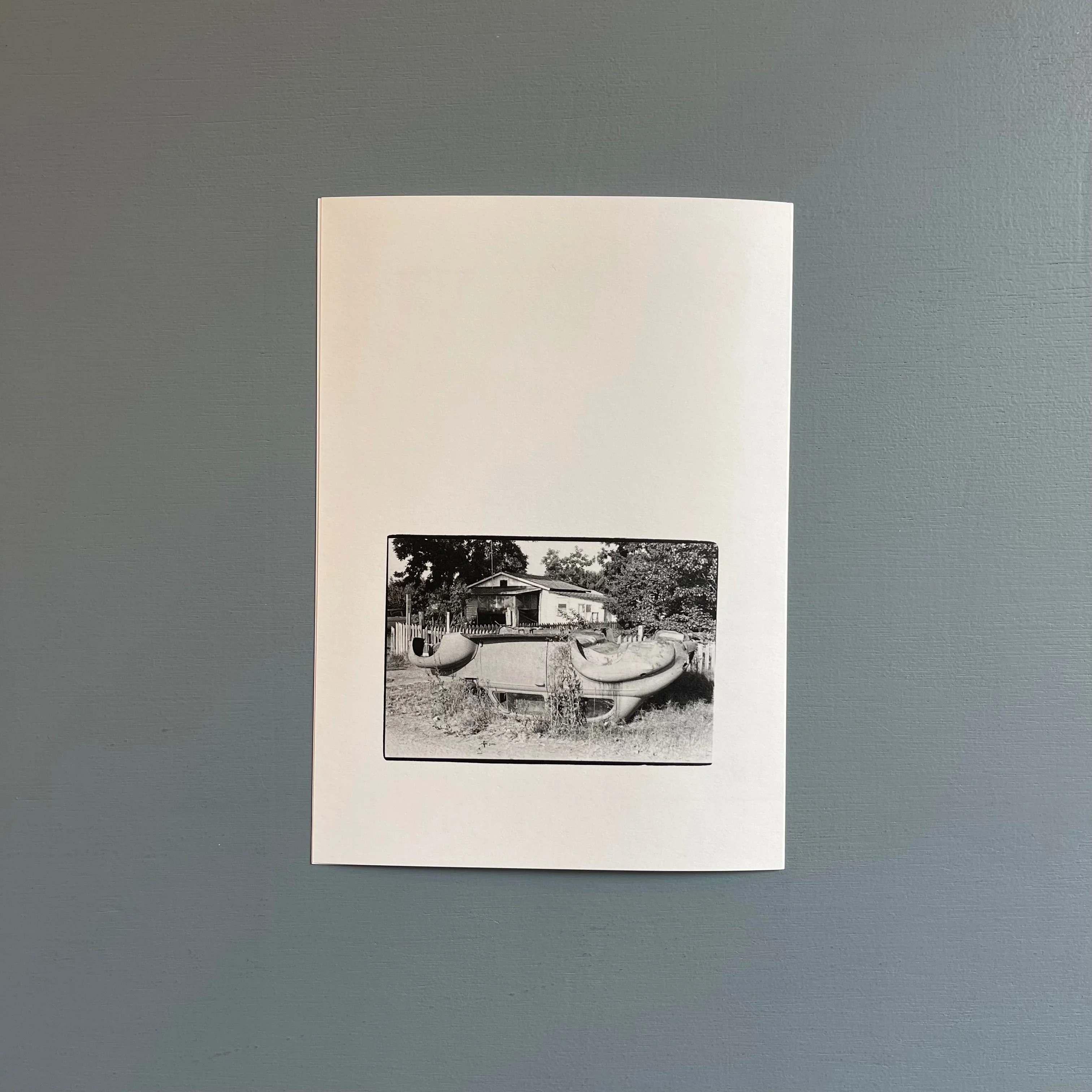 William Gedney/John Cage - Iris Garden - Little Brown Mushroom 2013 - Image 17