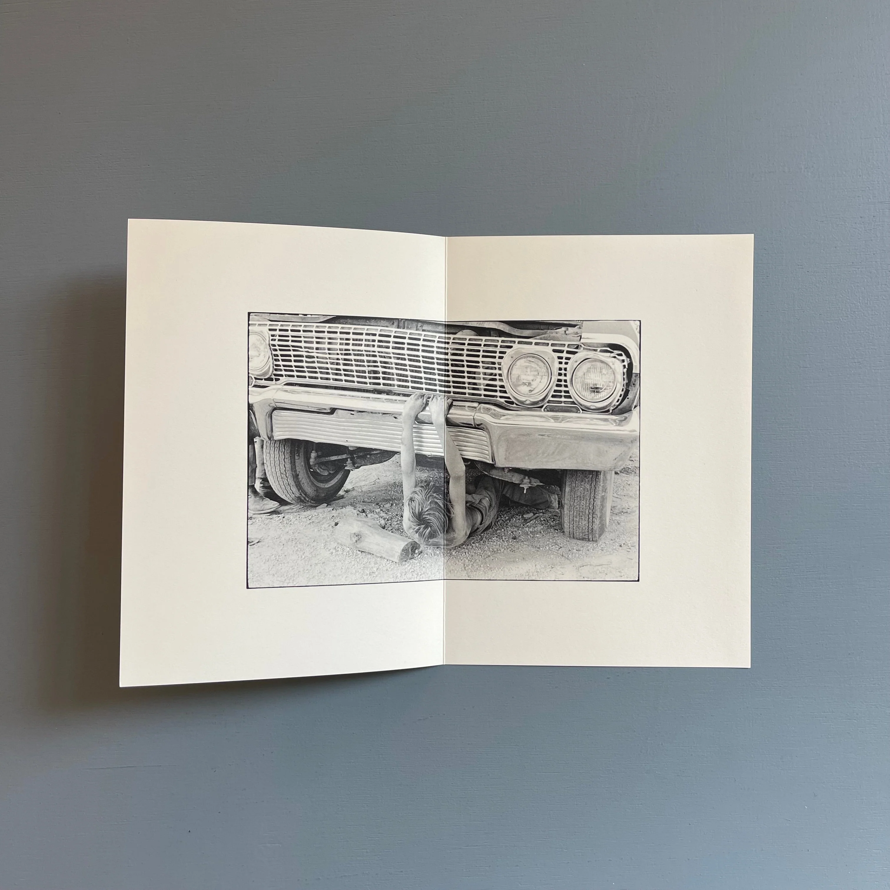 William Gedney/John Cage - Iris Garden - Little Brown Mushroom 2013 - Image 18
