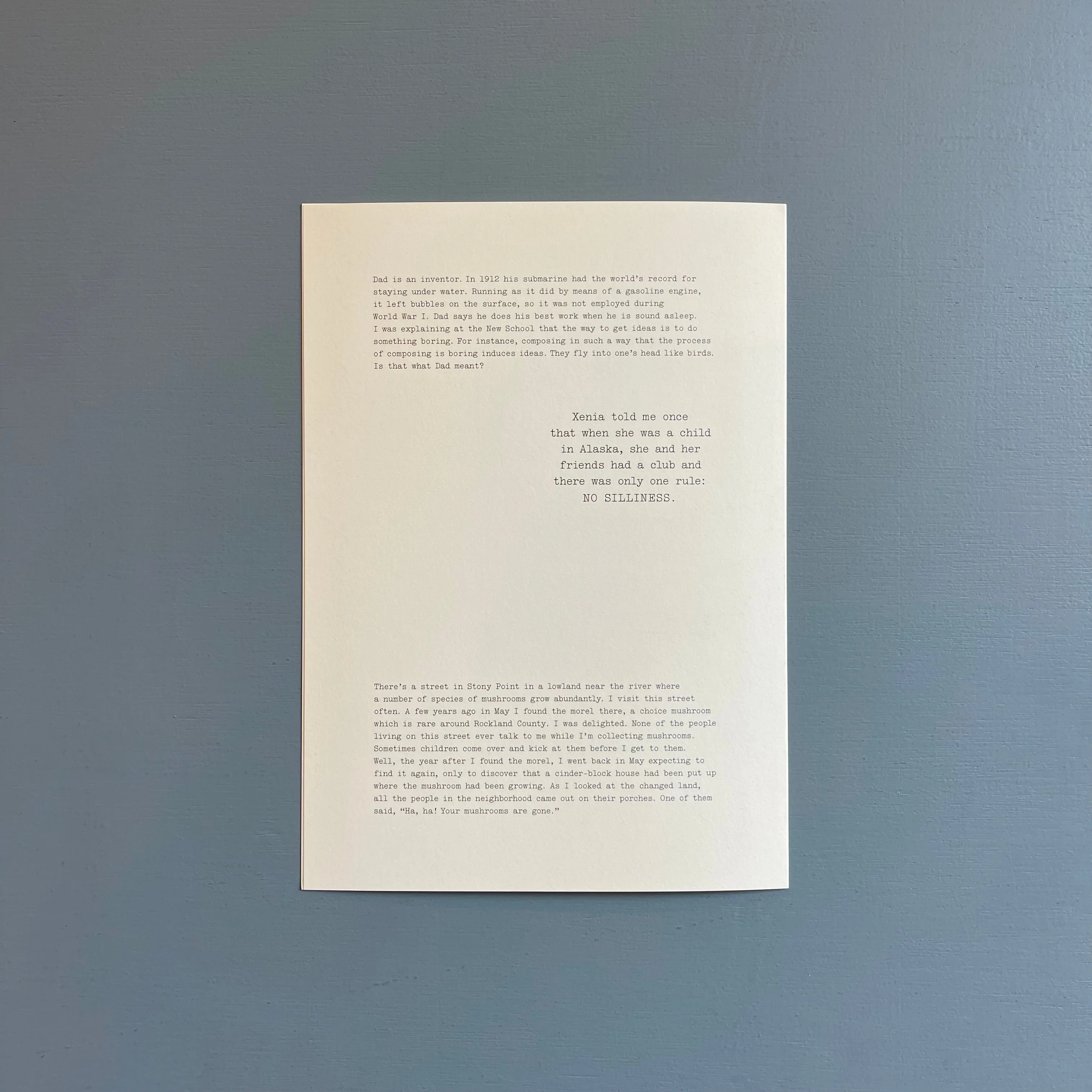 William Gedney/John Cage - Iris Garden - Little Brown Mushroom 2013 - Image 19