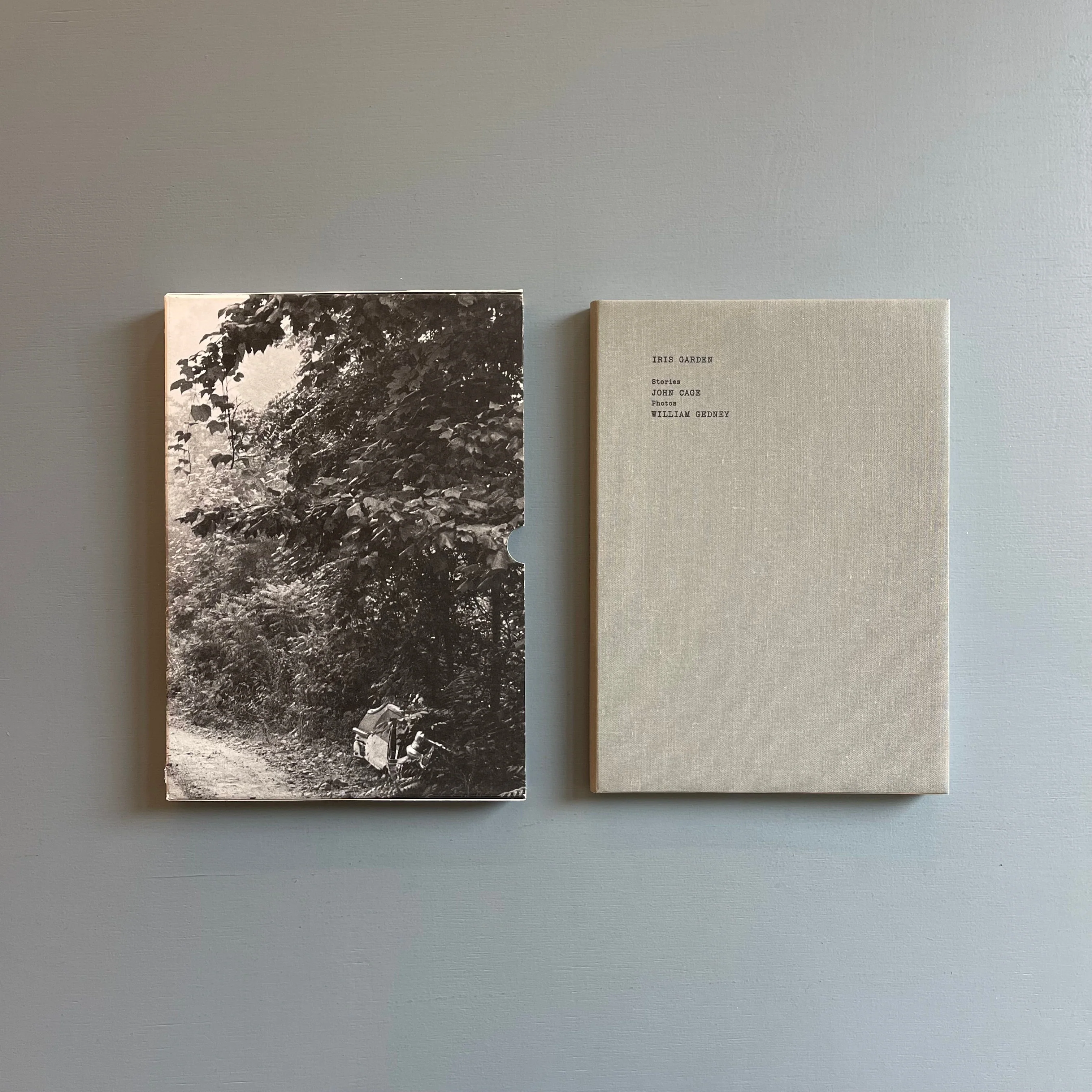 William Gedney/John Cage - Iris Garden - Little Brown Mushroom 2013 - Image 2