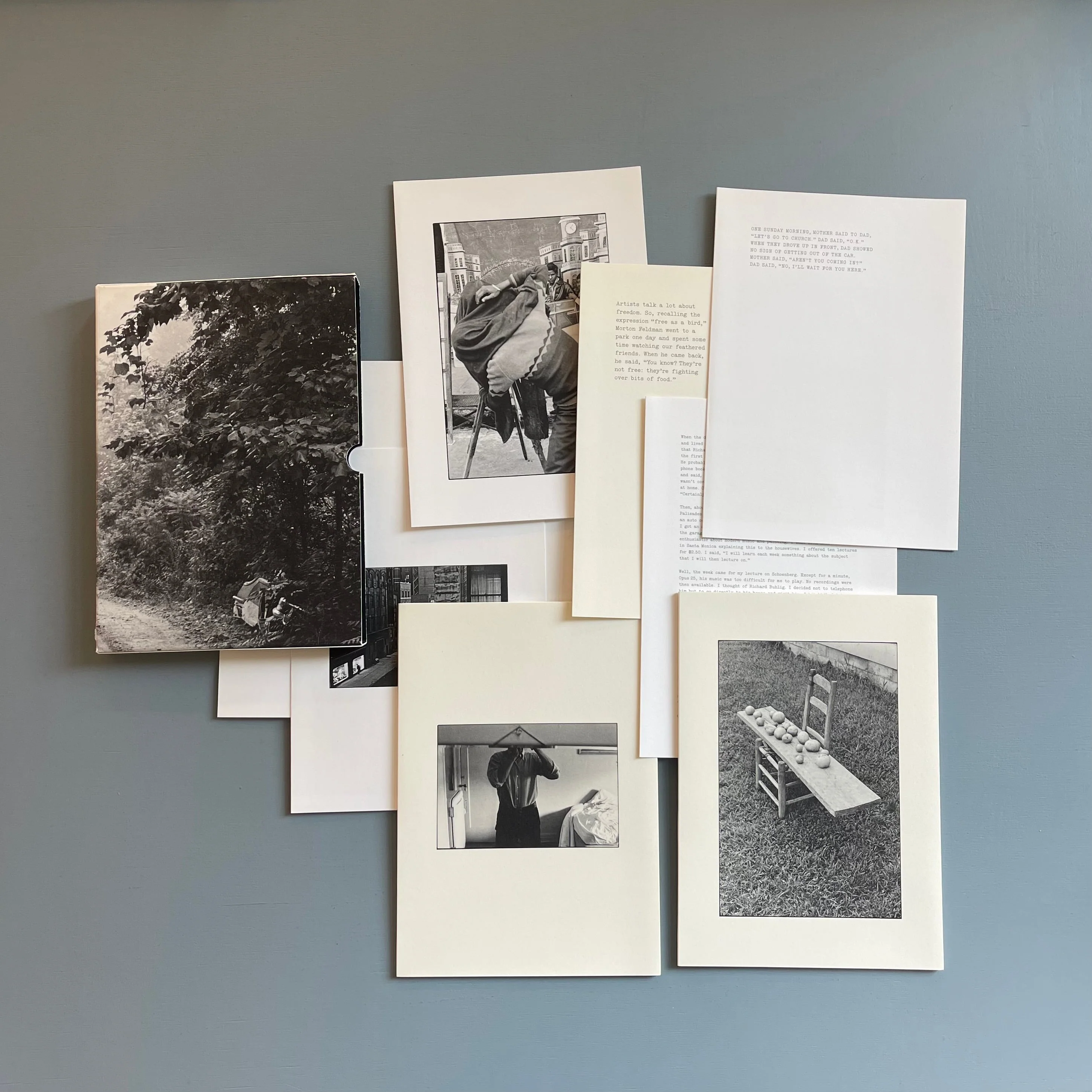 William Gedney/John Cage - Iris Garden - Little Brown Mushroom 2013 - Image 4