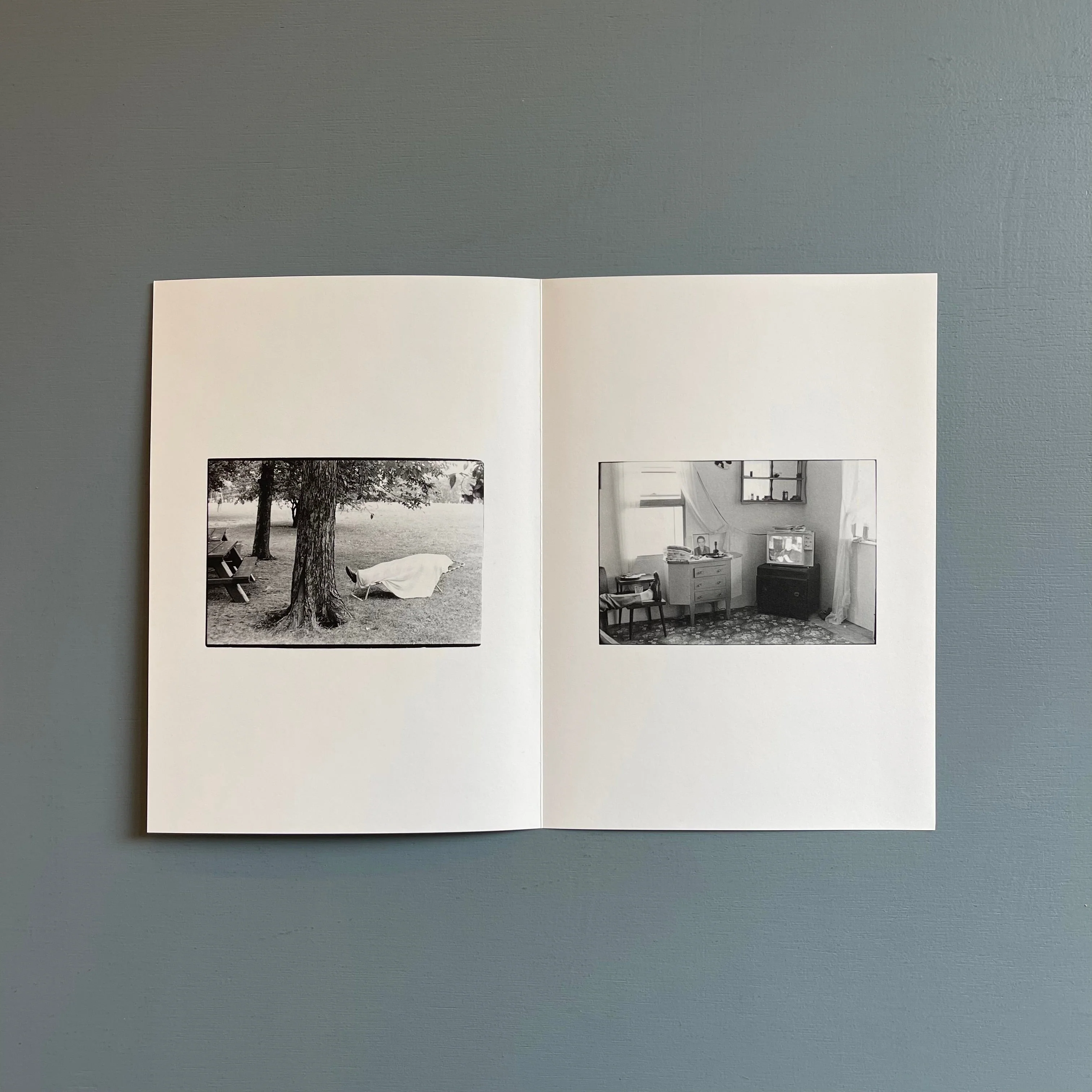 William Gedney/John Cage - Iris Garden - Little Brown Mushroom 2013 - Image 6