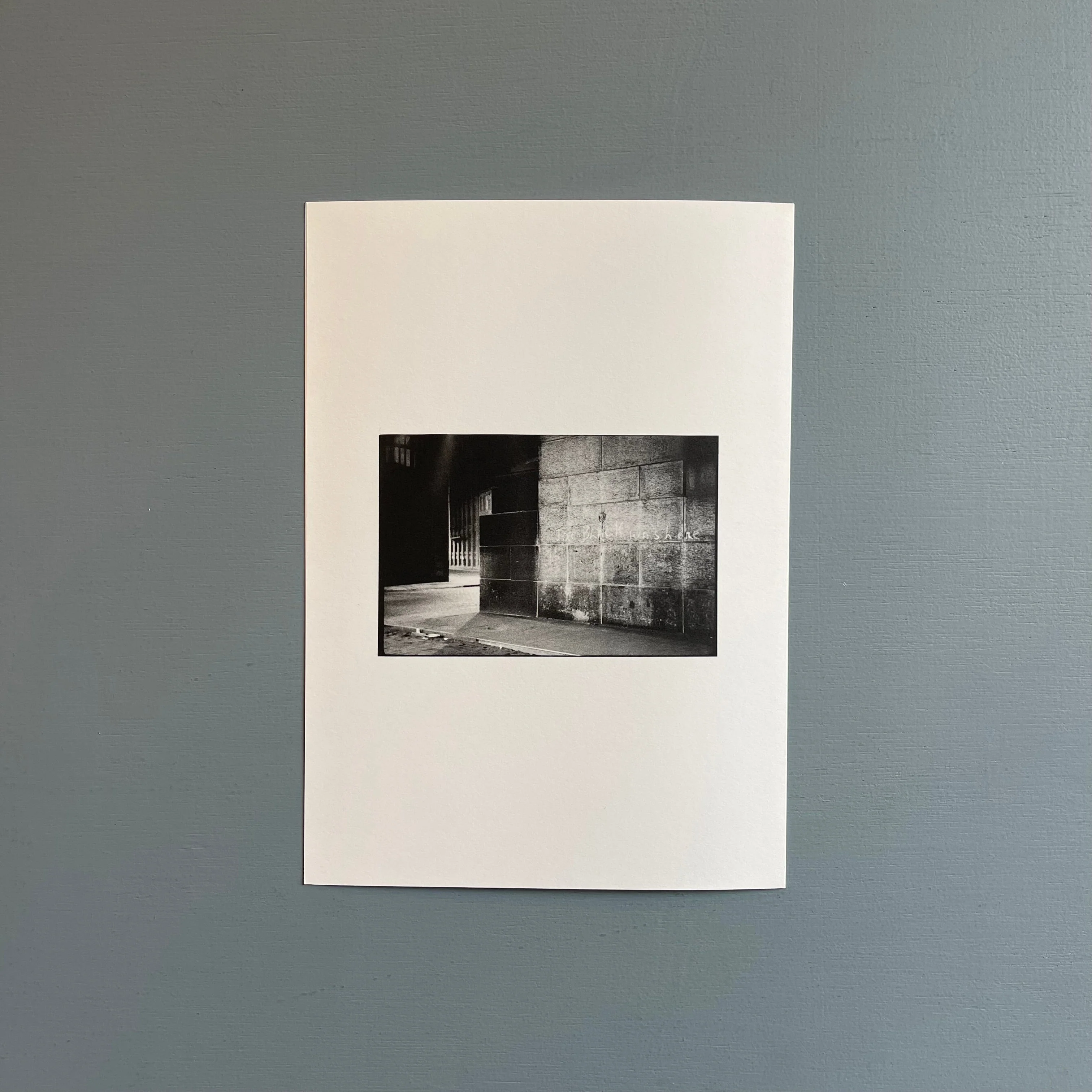 William Gedney/John Cage - Iris Garden - Little Brown Mushroom 2013 - Image 7