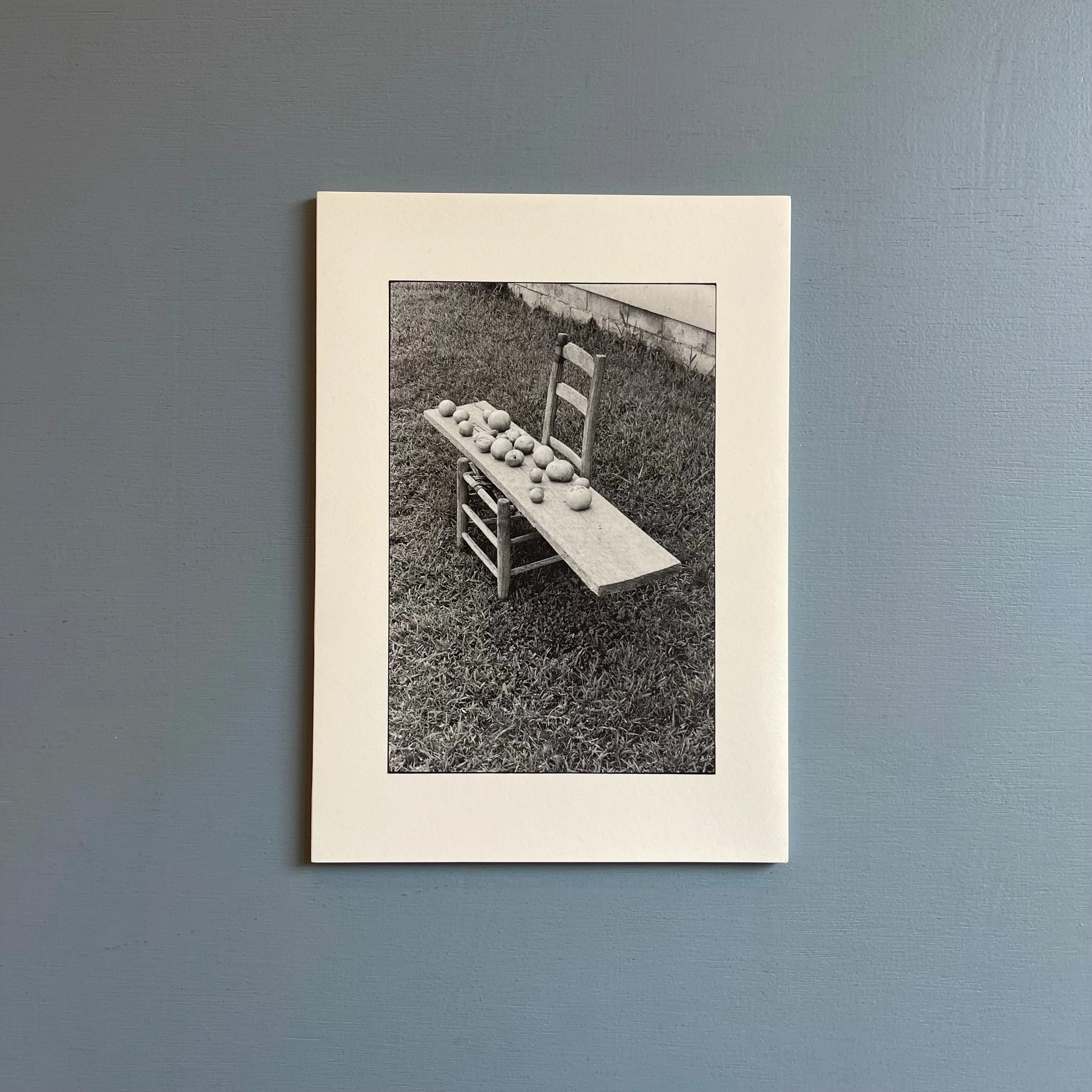 William Gedney/John Cage - Iris Garden - Little Brown Mushroom 2013 - Image 8