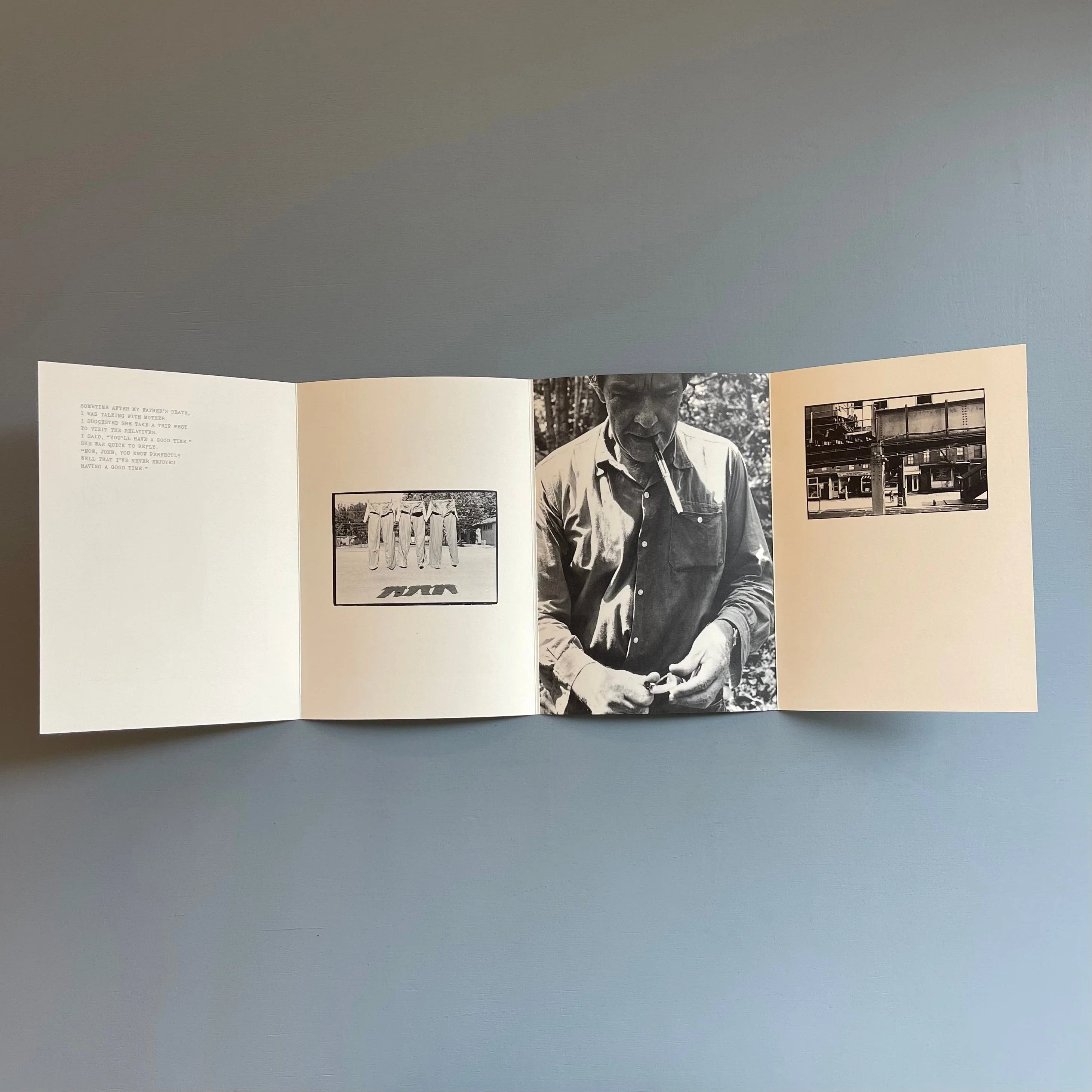 William Gedney/John Cage - Iris Garden - Little Brown Mushroom 2013 - Image 9