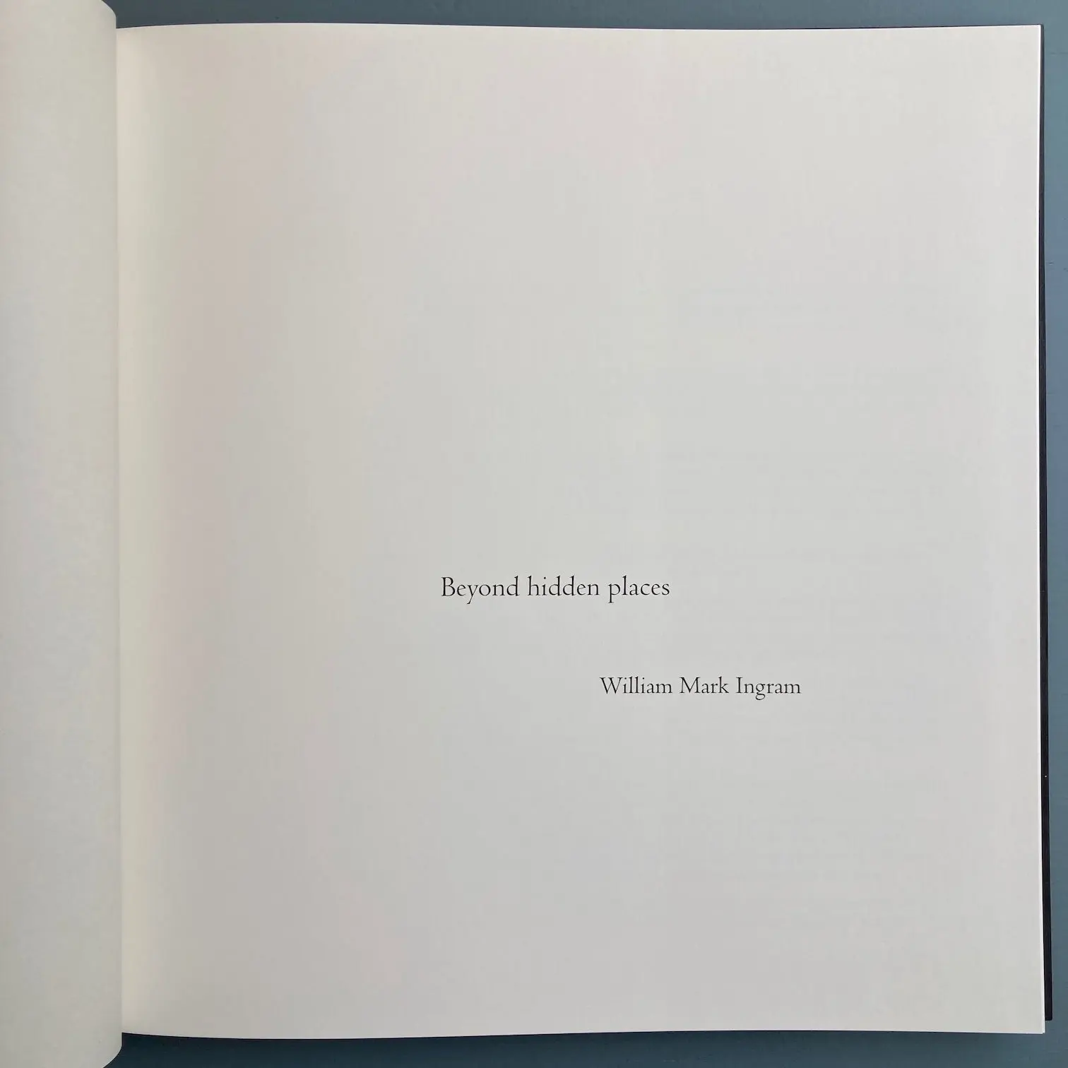 William Ingram - Beyond hidden places - Prismes 2015 - Image 3
