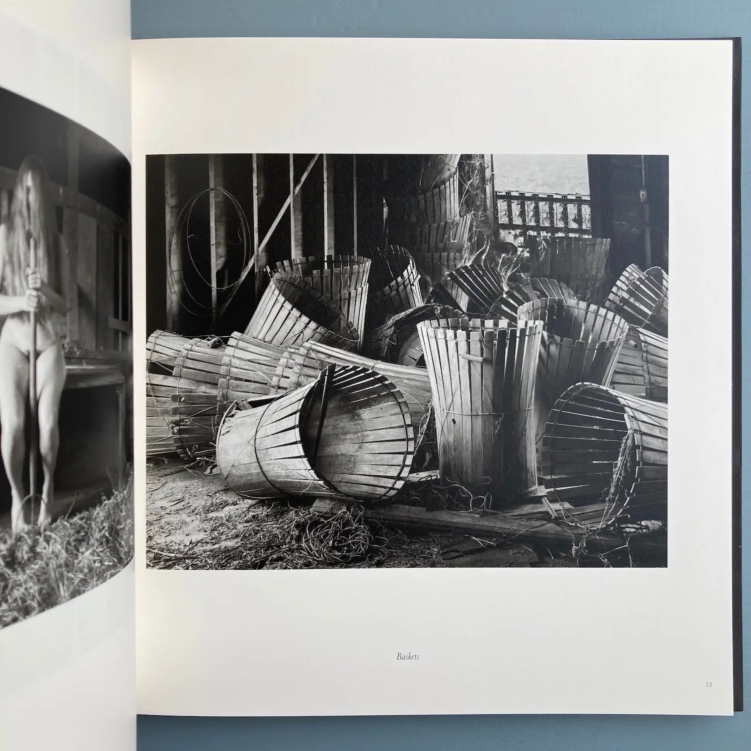 William Ingram - Beyond hidden places - Prismes 2015 - Image 4