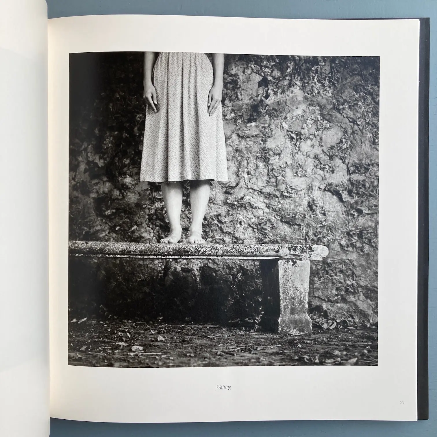 William Ingram - Beyond hidden places - Prismes 2015 - Image 6