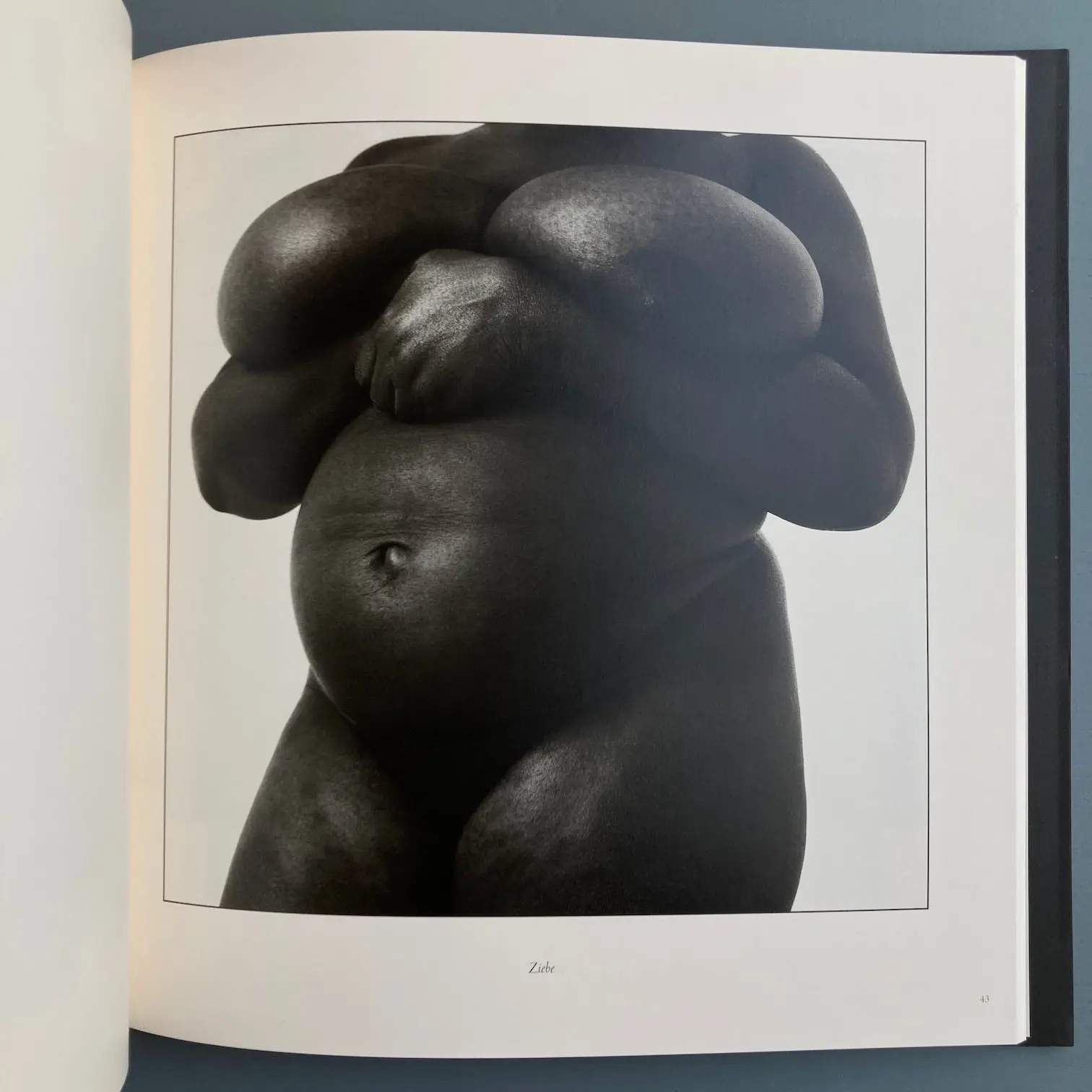 William Ingram - Beyond hidden places - Prismes 2015 - Image 8