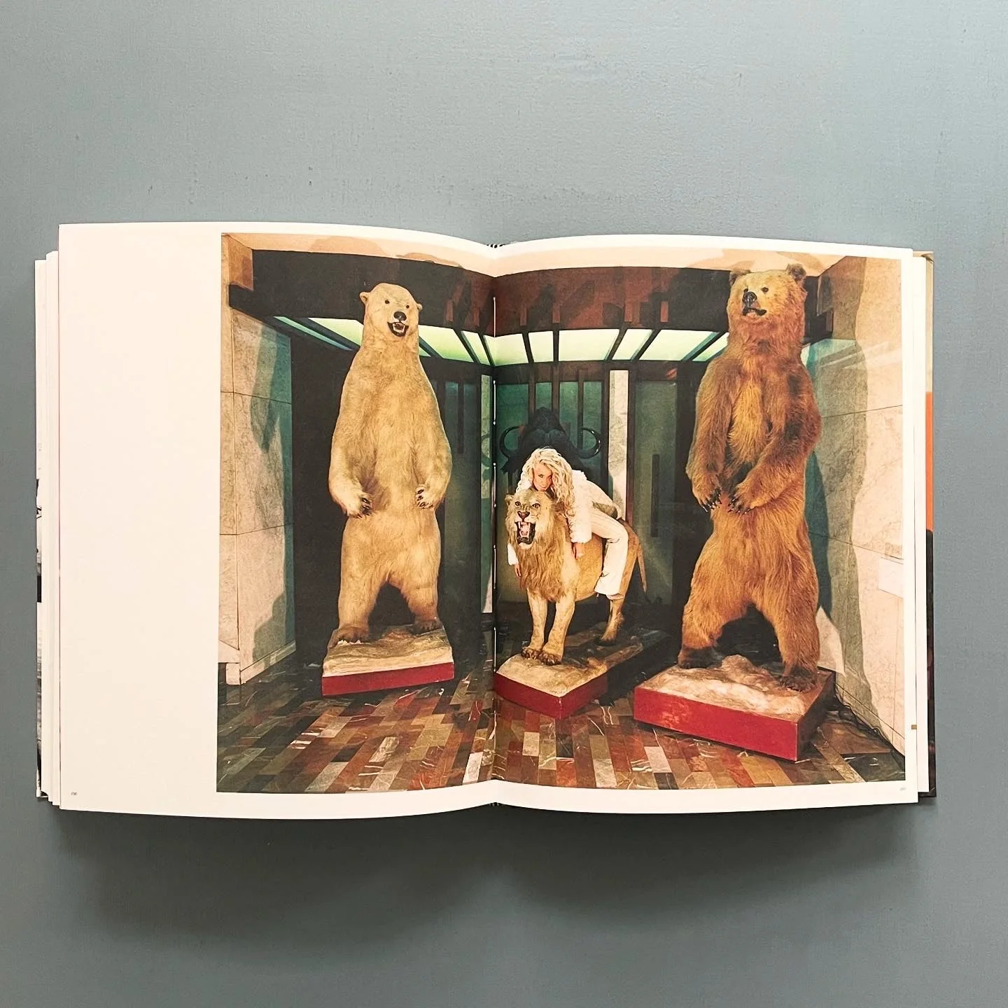 Witness to Her Art: Art and writings by Adrian Piper, Mona Hatoum, Cady Noland, Jenny Holzer, Kara Walker, Daniela Rossell and Eau de Cologne - CCS 2006 - Image 12