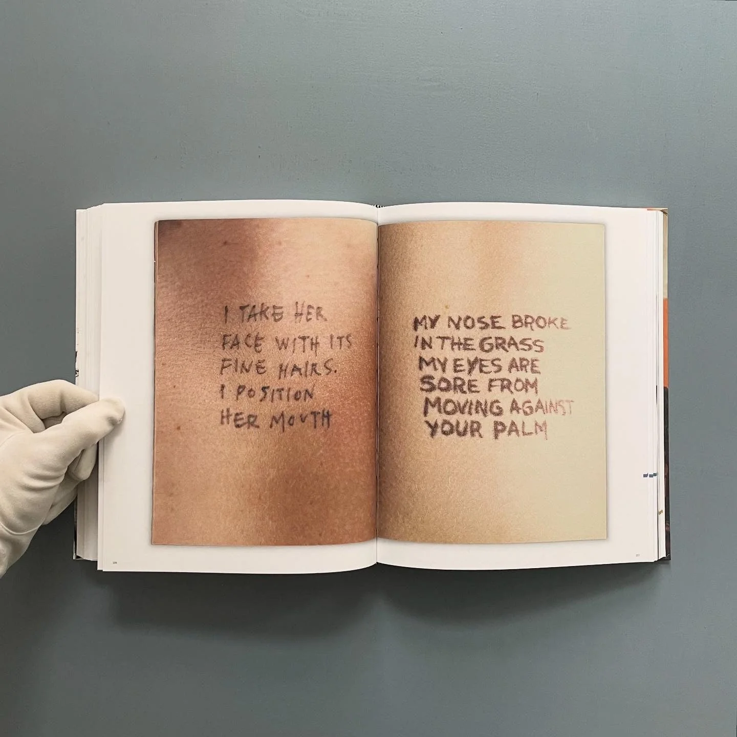 Witness to Her Art: Art and writings by Adrian Piper, Mona Hatoum, Cady Noland, Jenny Holzer, Kara Walker, Daniela Rossell and Eau de Cologne - CCS 2006 - Image 7