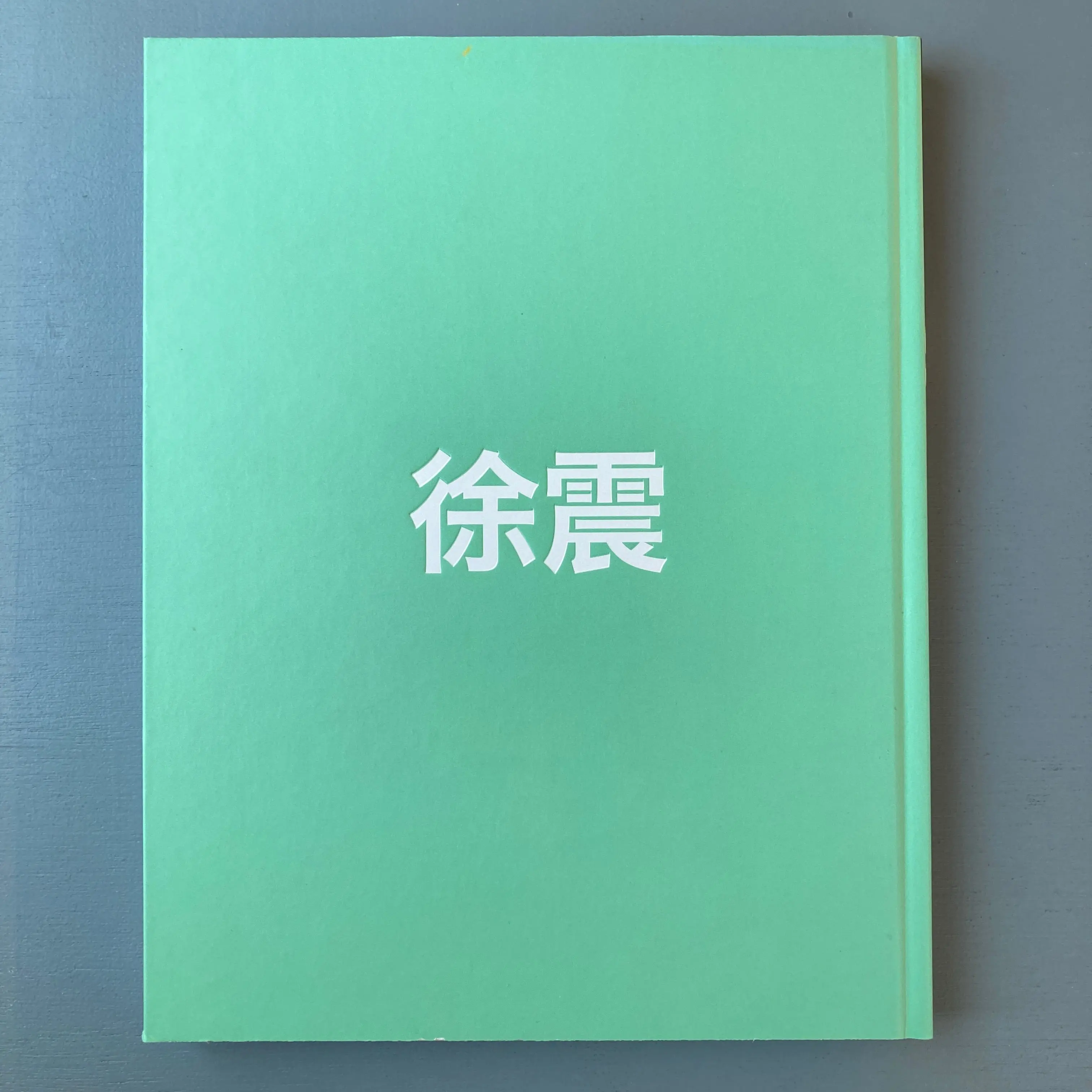 Xu Zhen - DISTANZ 2014 - Image 11