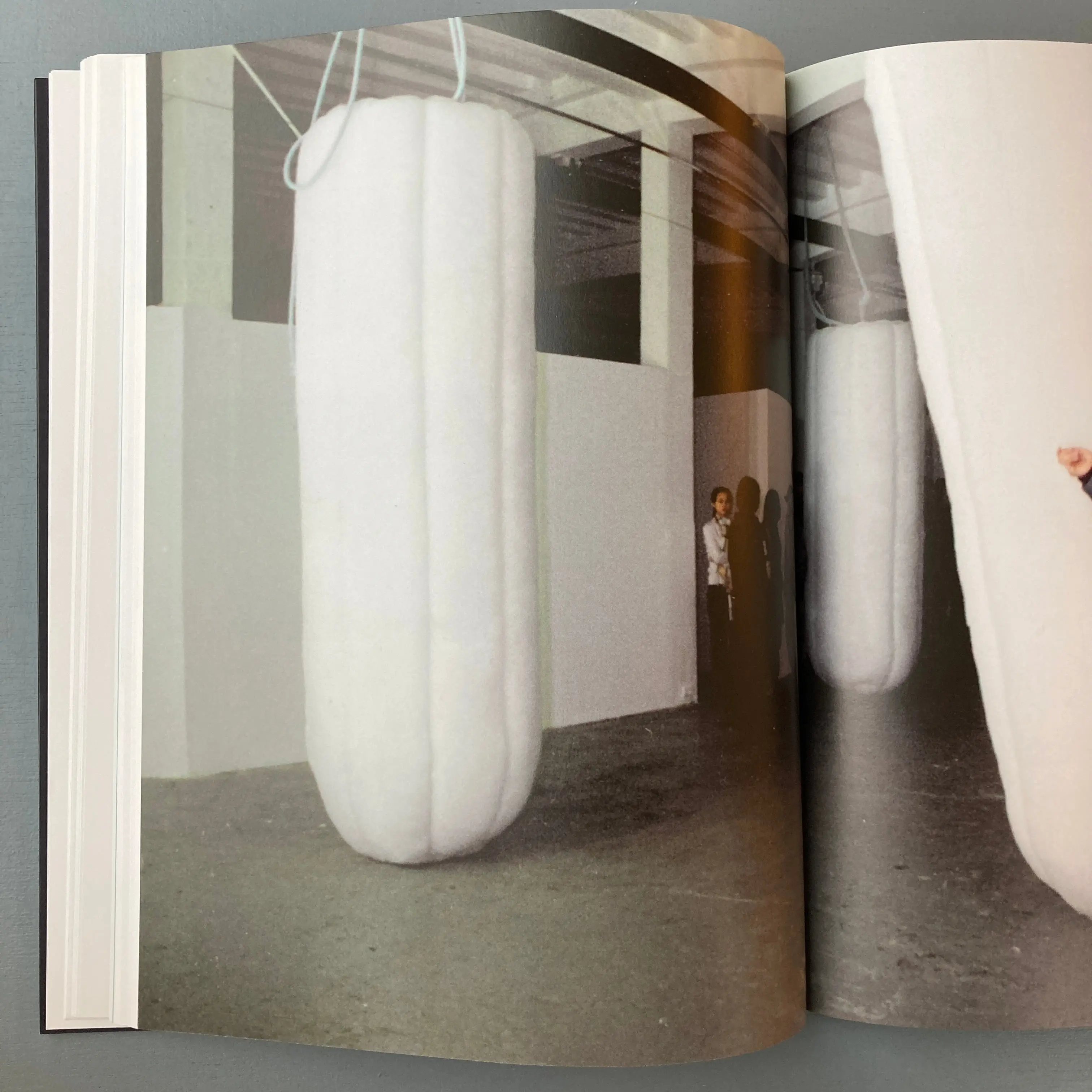 Xu Zhen - DISTANZ 2014 - Image 6