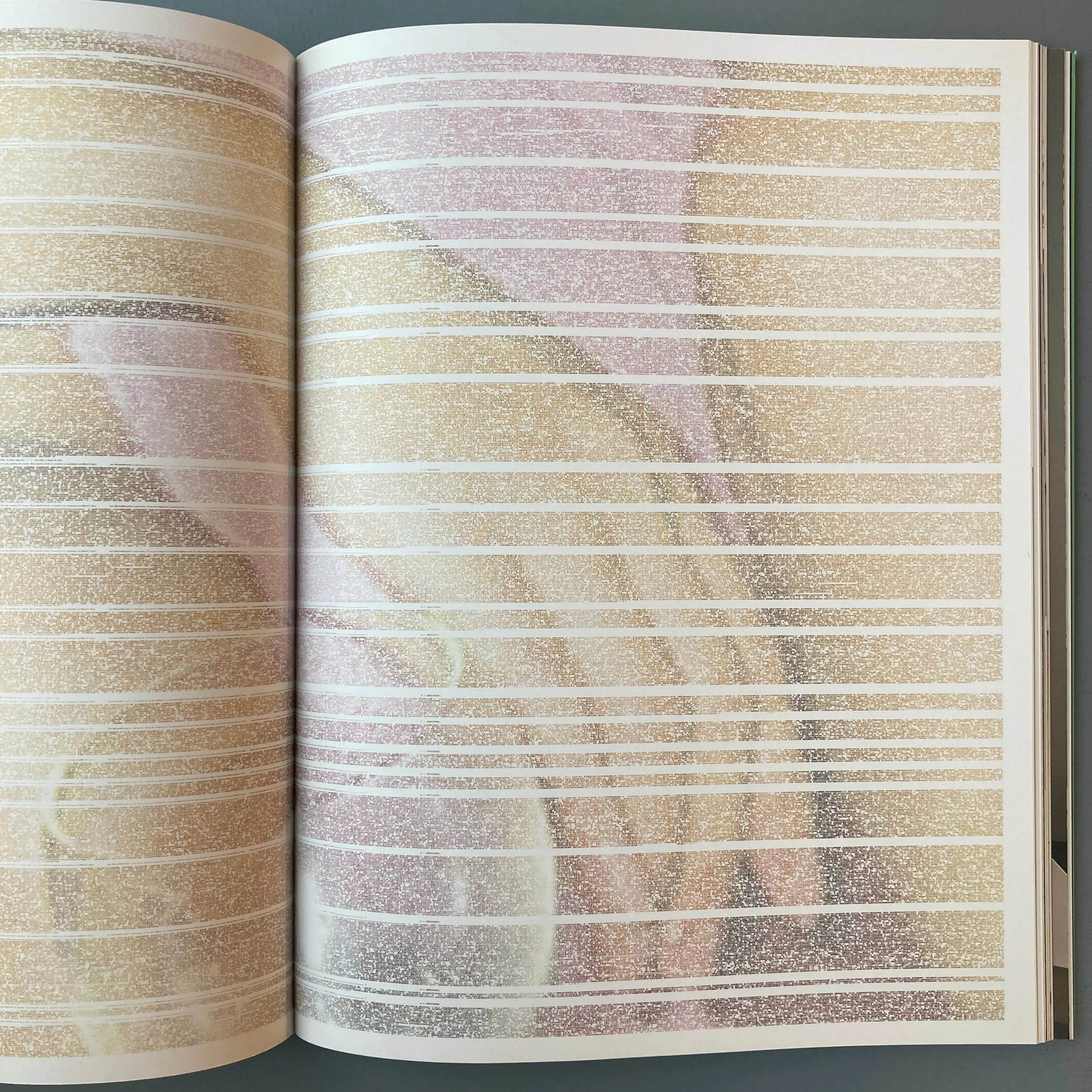Xu Zhen - DISTANZ 2014 - Image 8