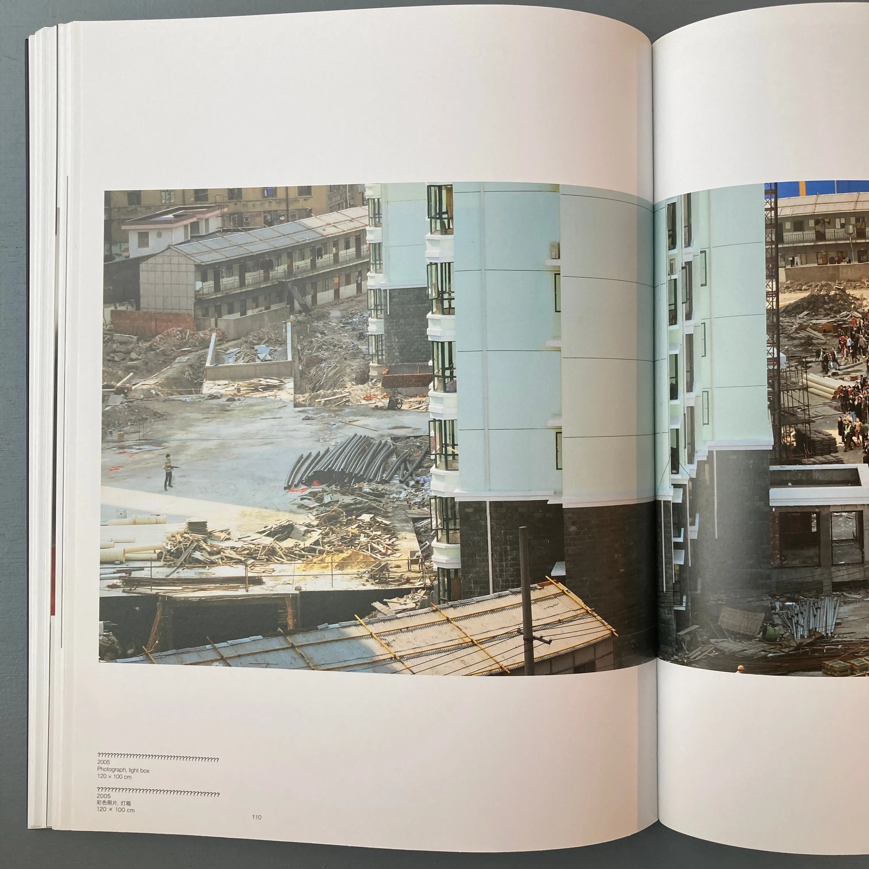 Xu Zhen - DISTANZ 2014 - Image 9