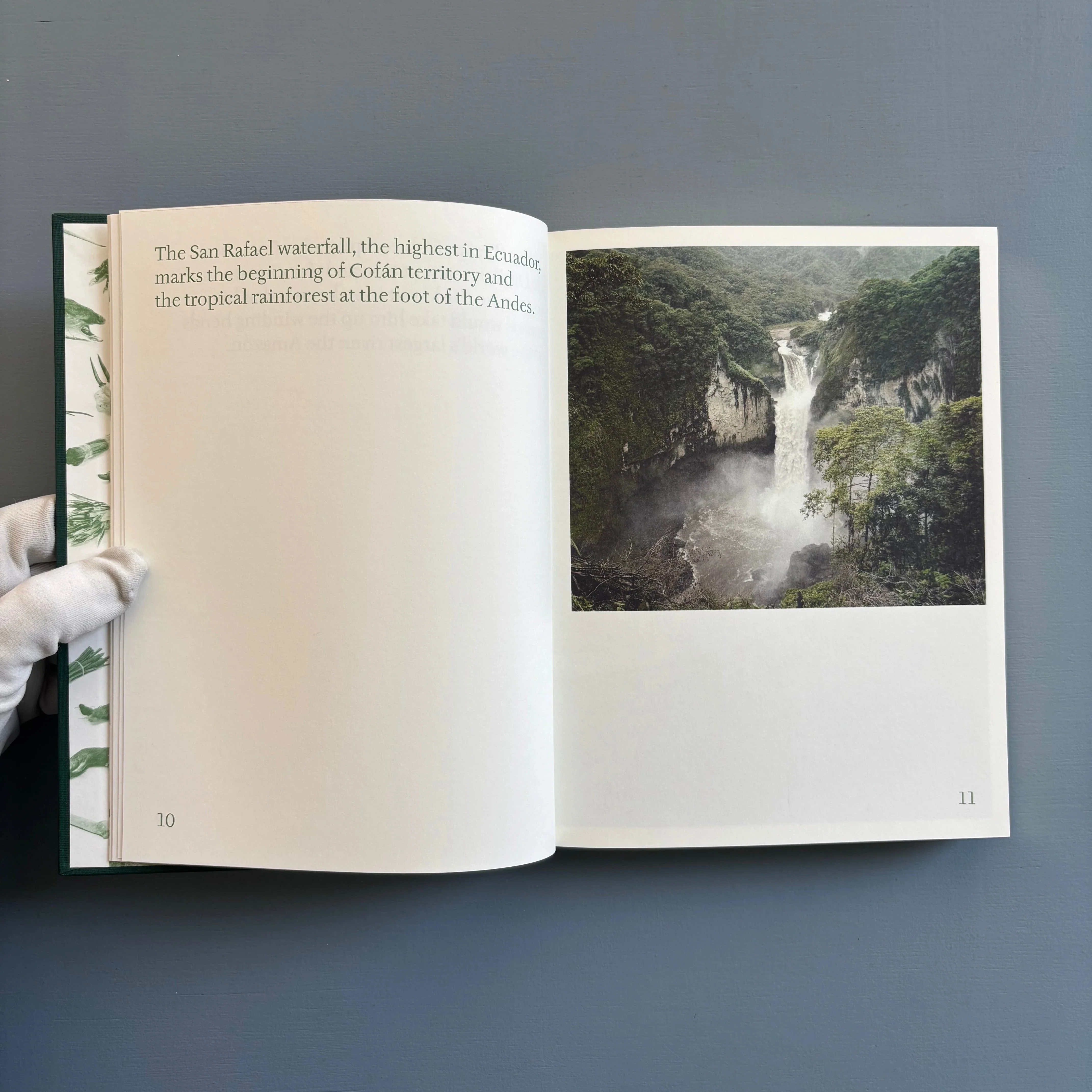 Yann Gross - The Jungle Book - Aperture 2016 - Image 3