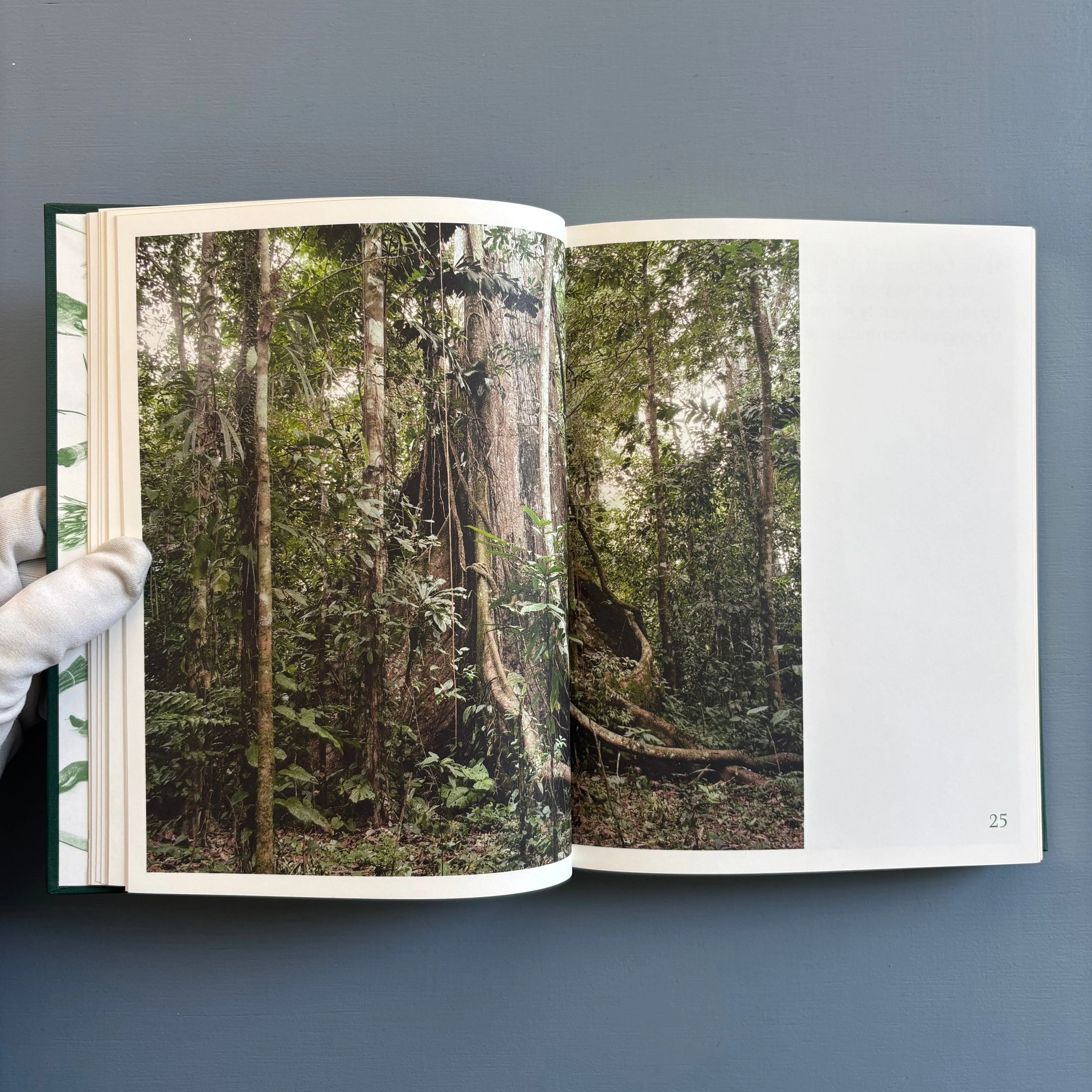 Yann Gross - The Jungle Book - Aperture 2016 - Image 4
