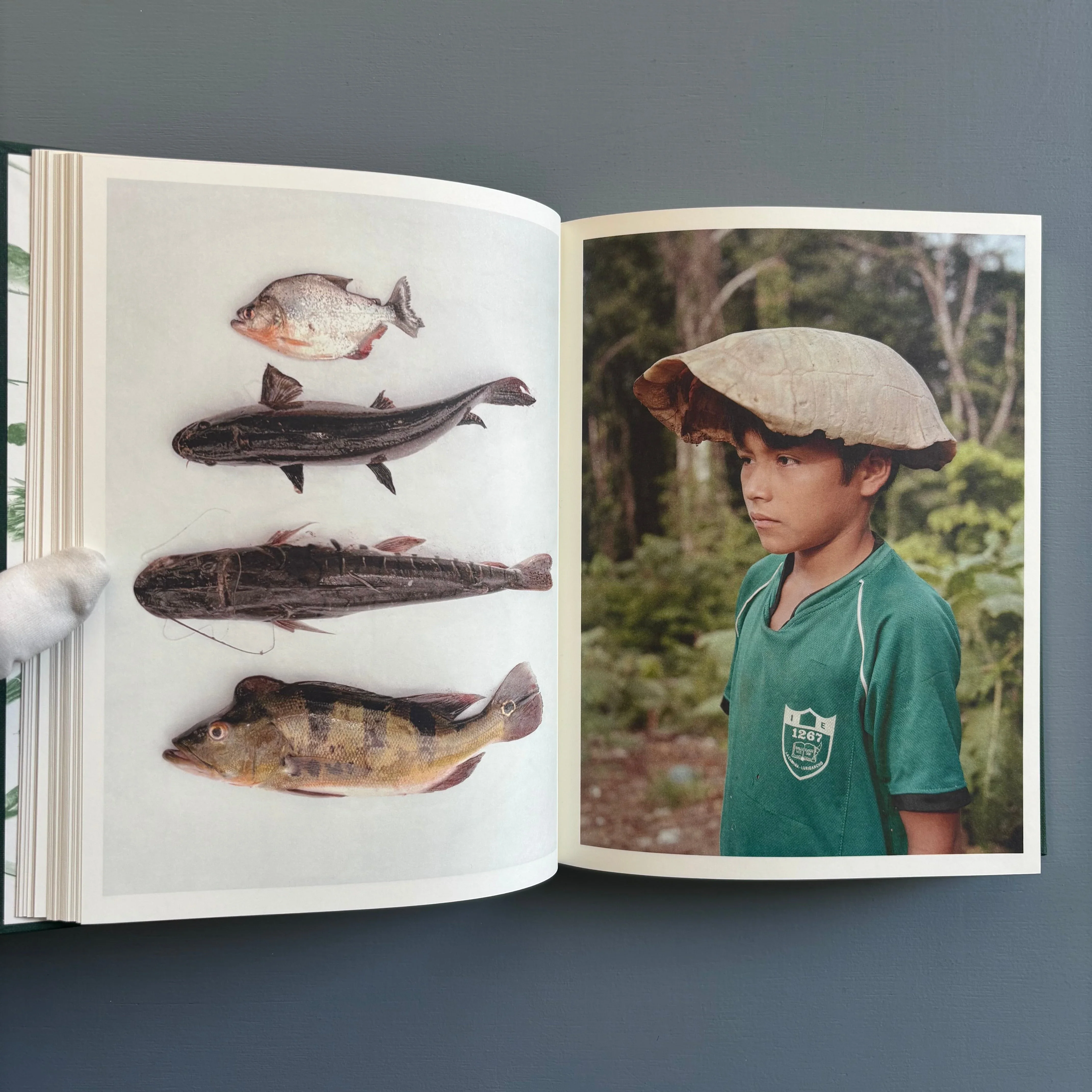 Yann Gross - The Jungle Book - Aperture 2016 - Image 6