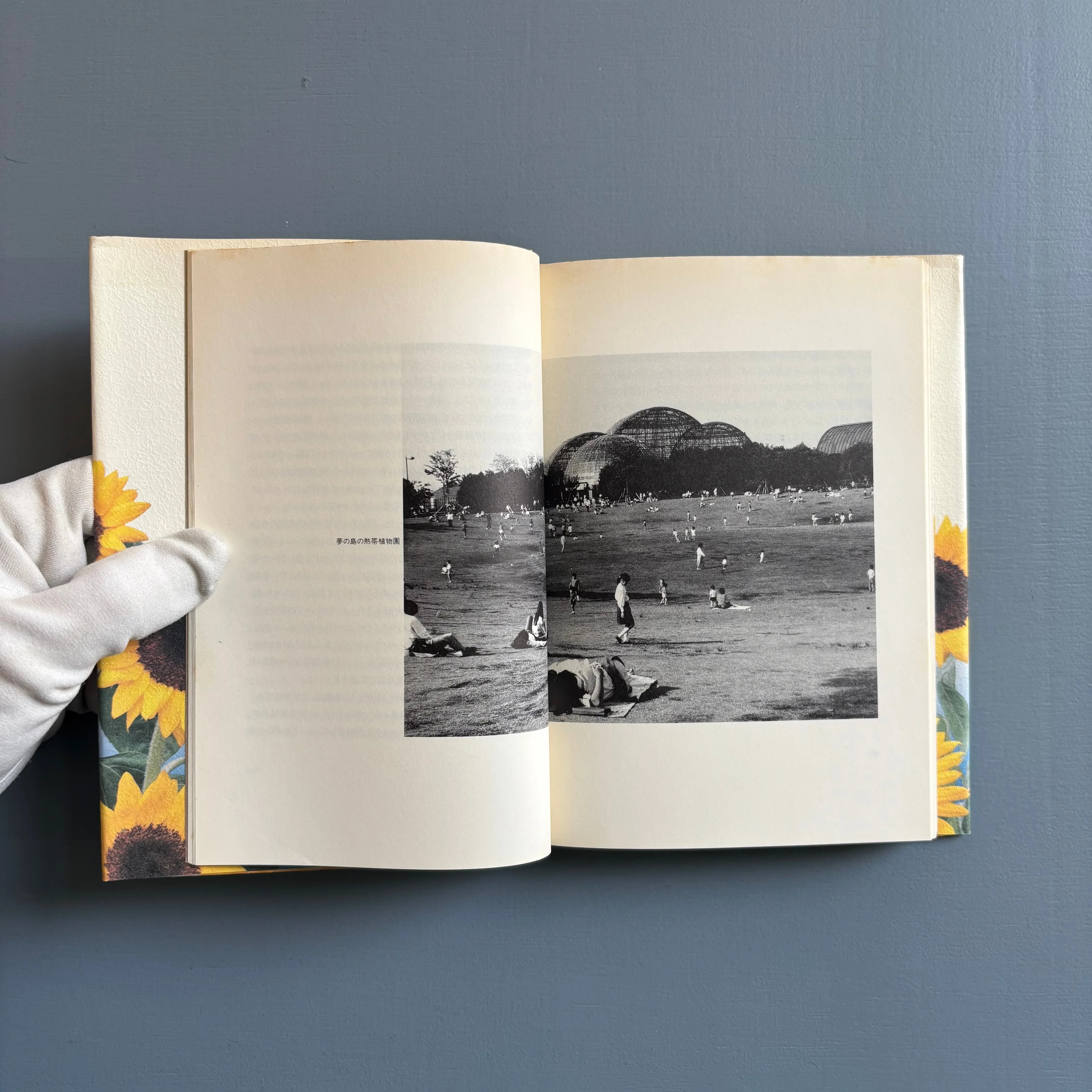 Yoko & Nobuyoshi Araki - Tokyo Biyori (Tokyo Daylight) - Chikuma Shobō 1997 - Image 2