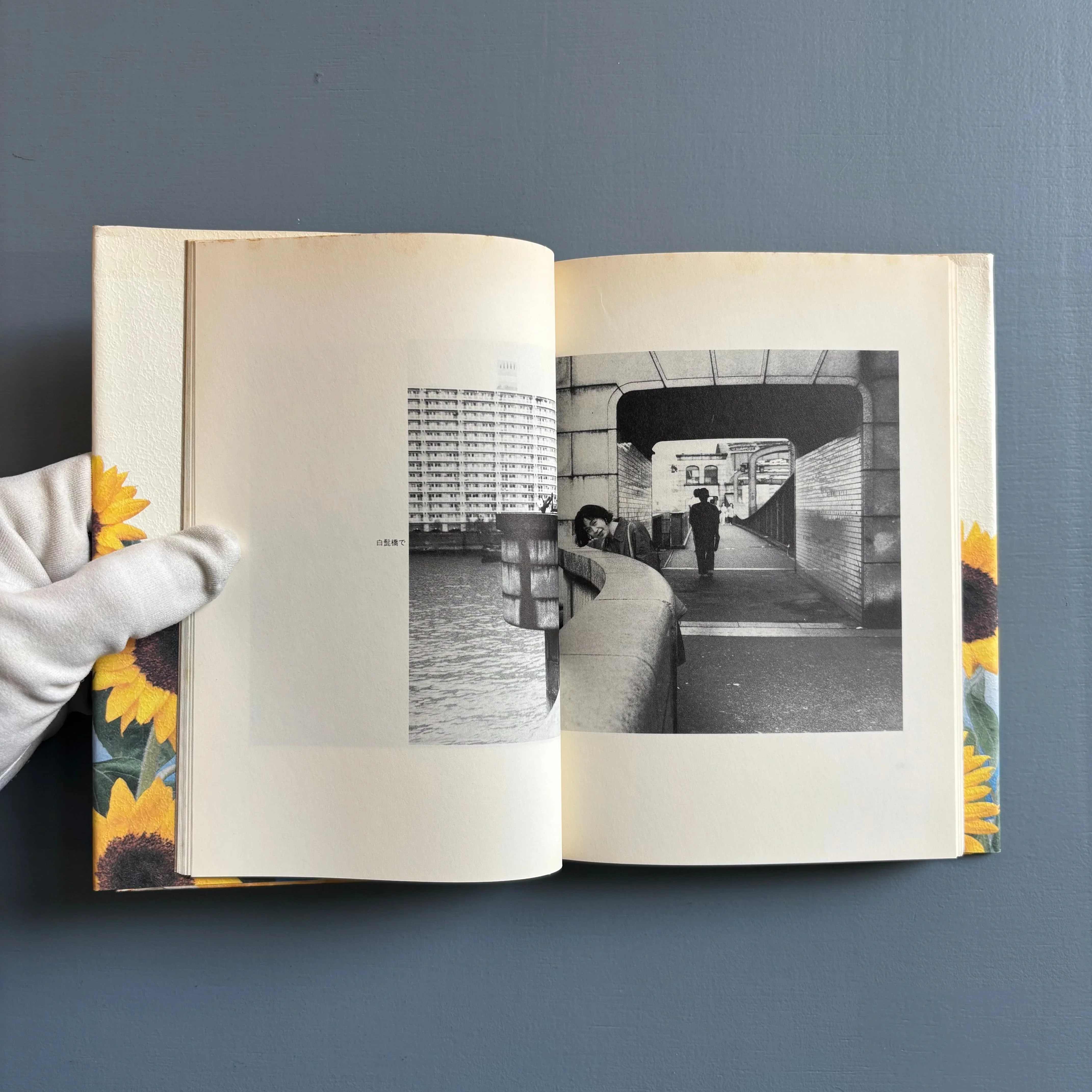 Yoko & Nobuyoshi Araki - Tokyo Biyori (Tokyo Daylight) - Chikuma Shobō 1997 - Image 3