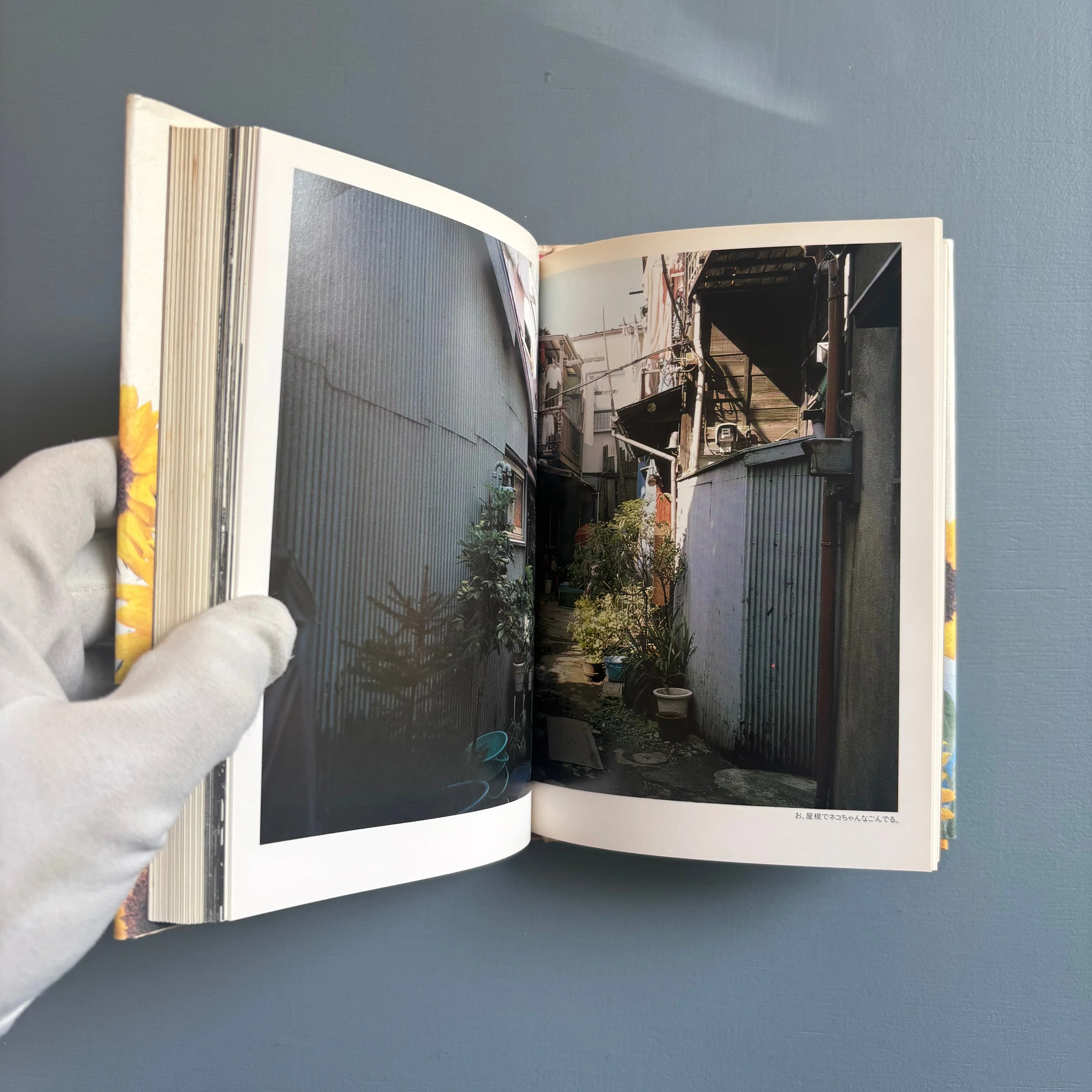 Yoko & Nobuyoshi Araki - Tokyo Biyori (Tokyo Daylight) - Chikuma Shobō 1997 - Image 8