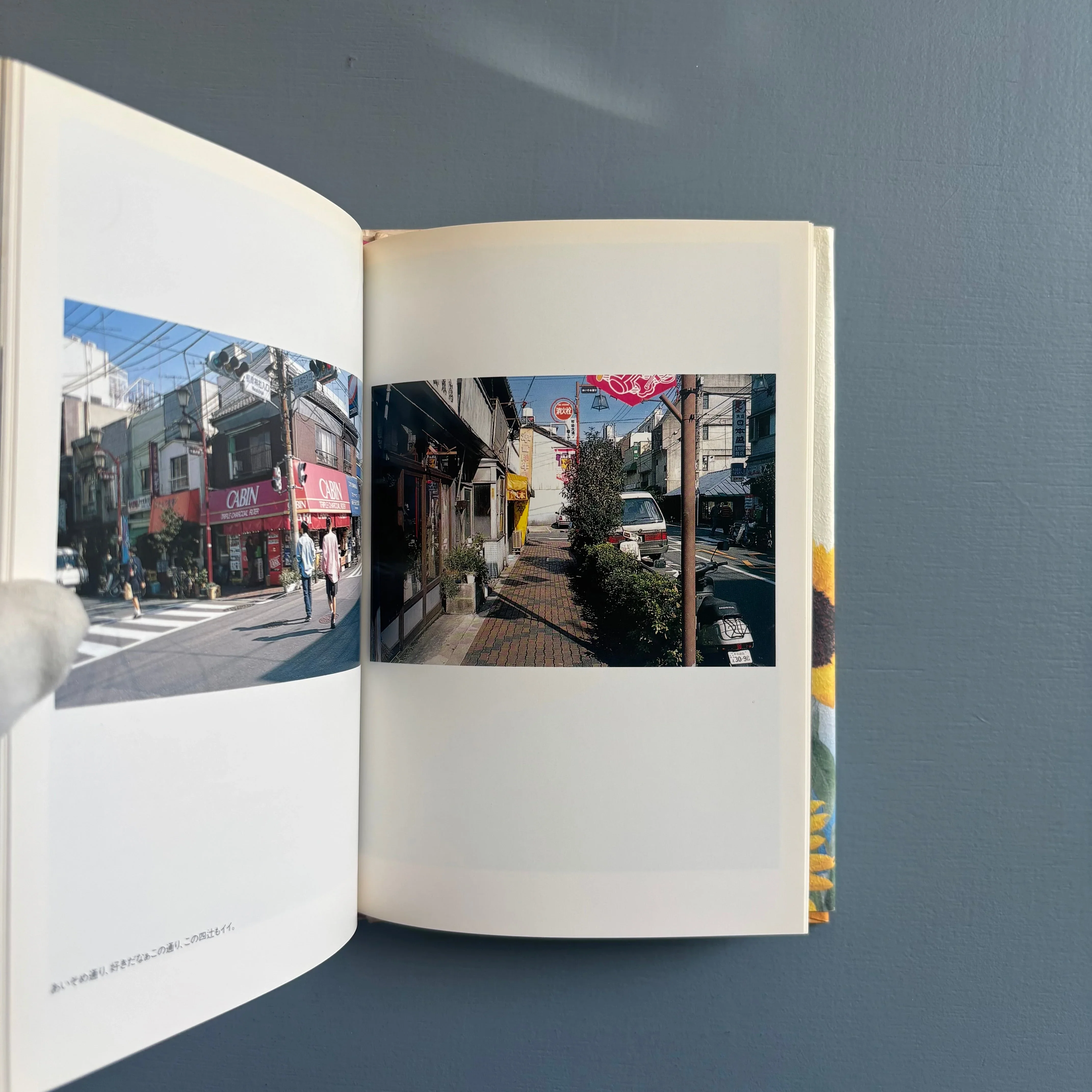 Yoko & Nobuyoshi Araki - Tokyo Biyori (Tokyo Daylight) - Chikuma Shobō 1997 - Image 9