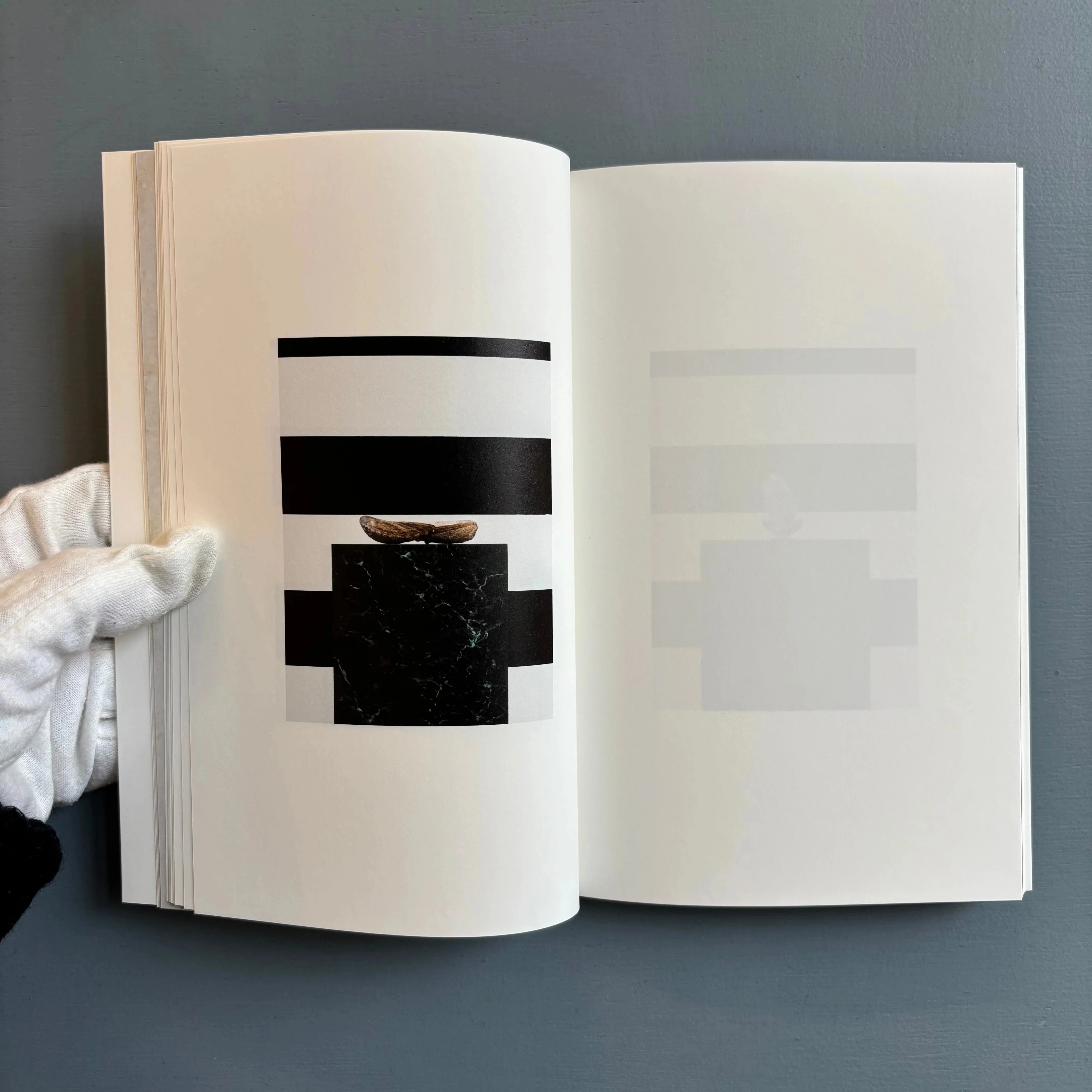 Yuki Kimura - Col Sporcar Si Trova - Mousse Publishing 2023 - Image 4