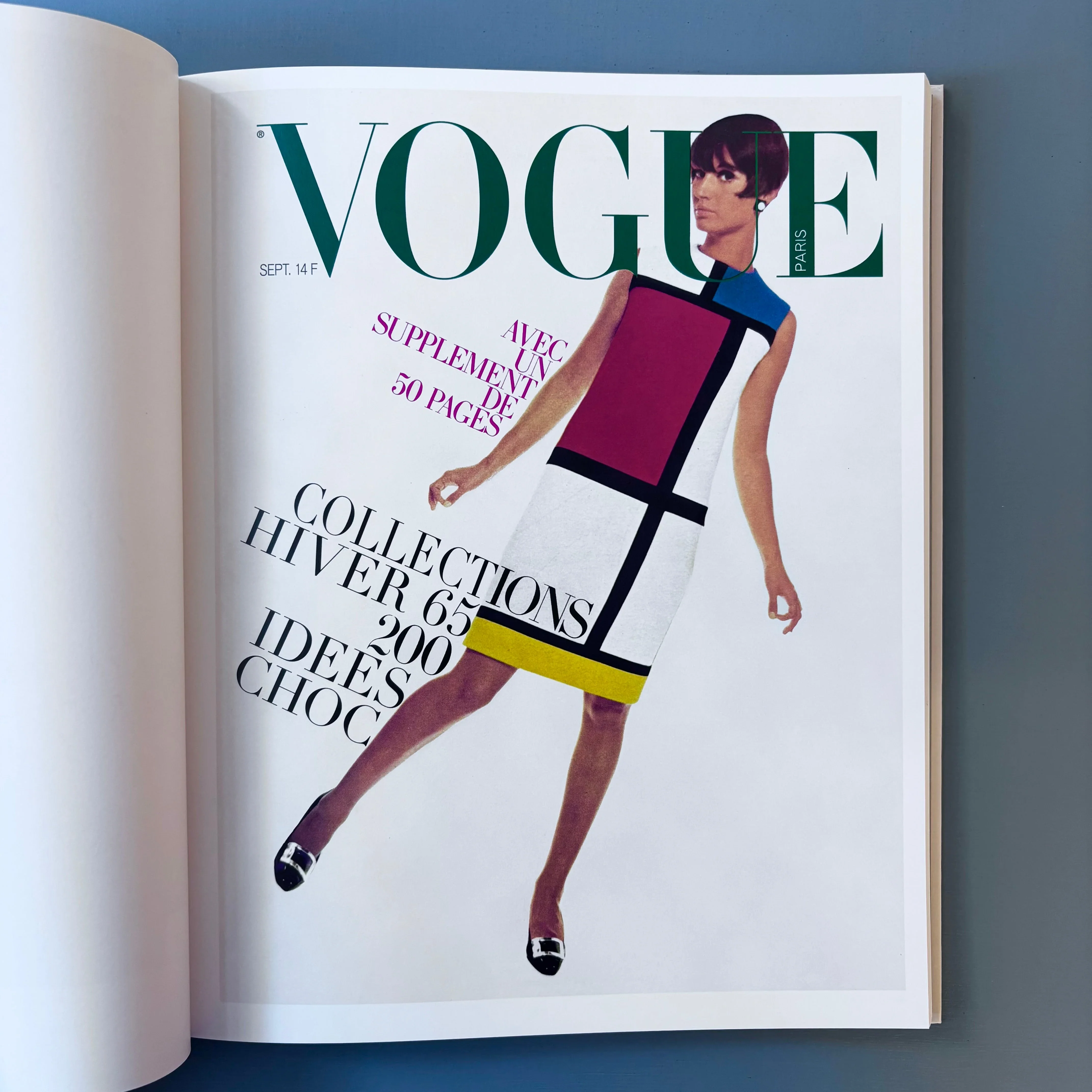 Yves Saint Laurent and Photography - Musée Yves Saint Laurent/Phaidon 2025 - Image 5