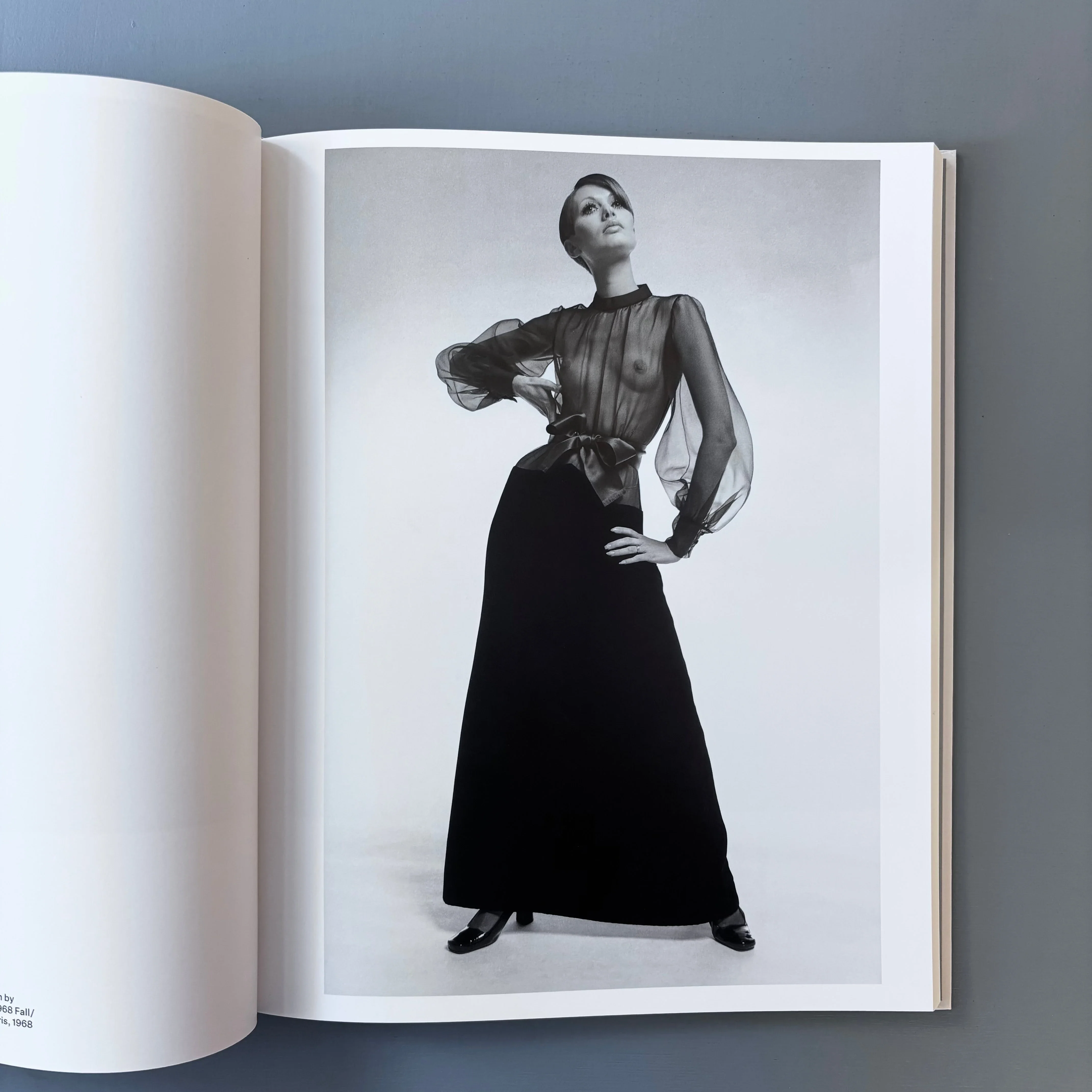 Yves Saint Laurent and Photography - Musée Yves Saint Laurent/Phaidon 2025 - Image 6
